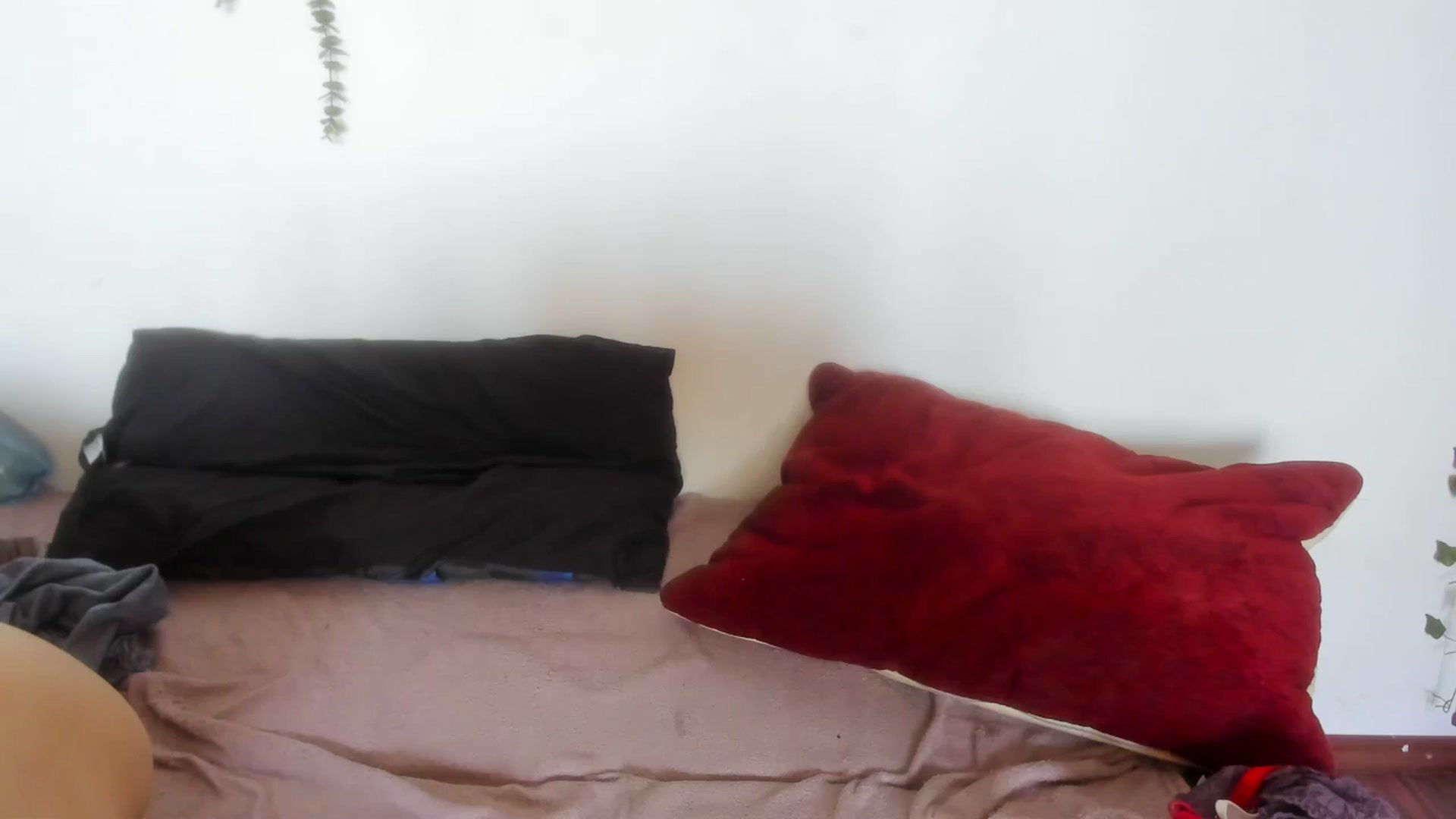 Gallery image thumbnail from AliceKatz's myfreecams stream on, 07/09/2024, 09:31 image 15 of 20