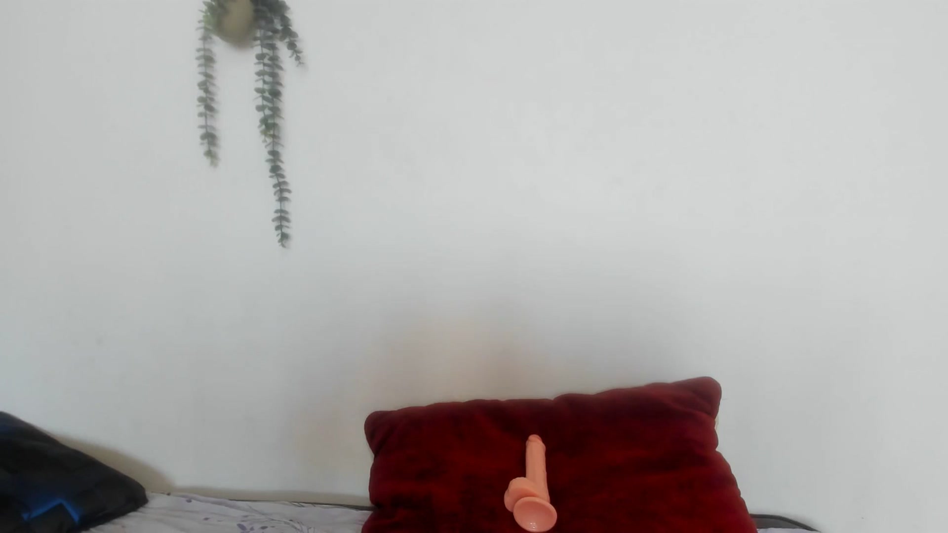 Gallery image thumbnail from AliceKatz's myfreecams stream on, 07/19/2024, 16:02 image 14 of 20