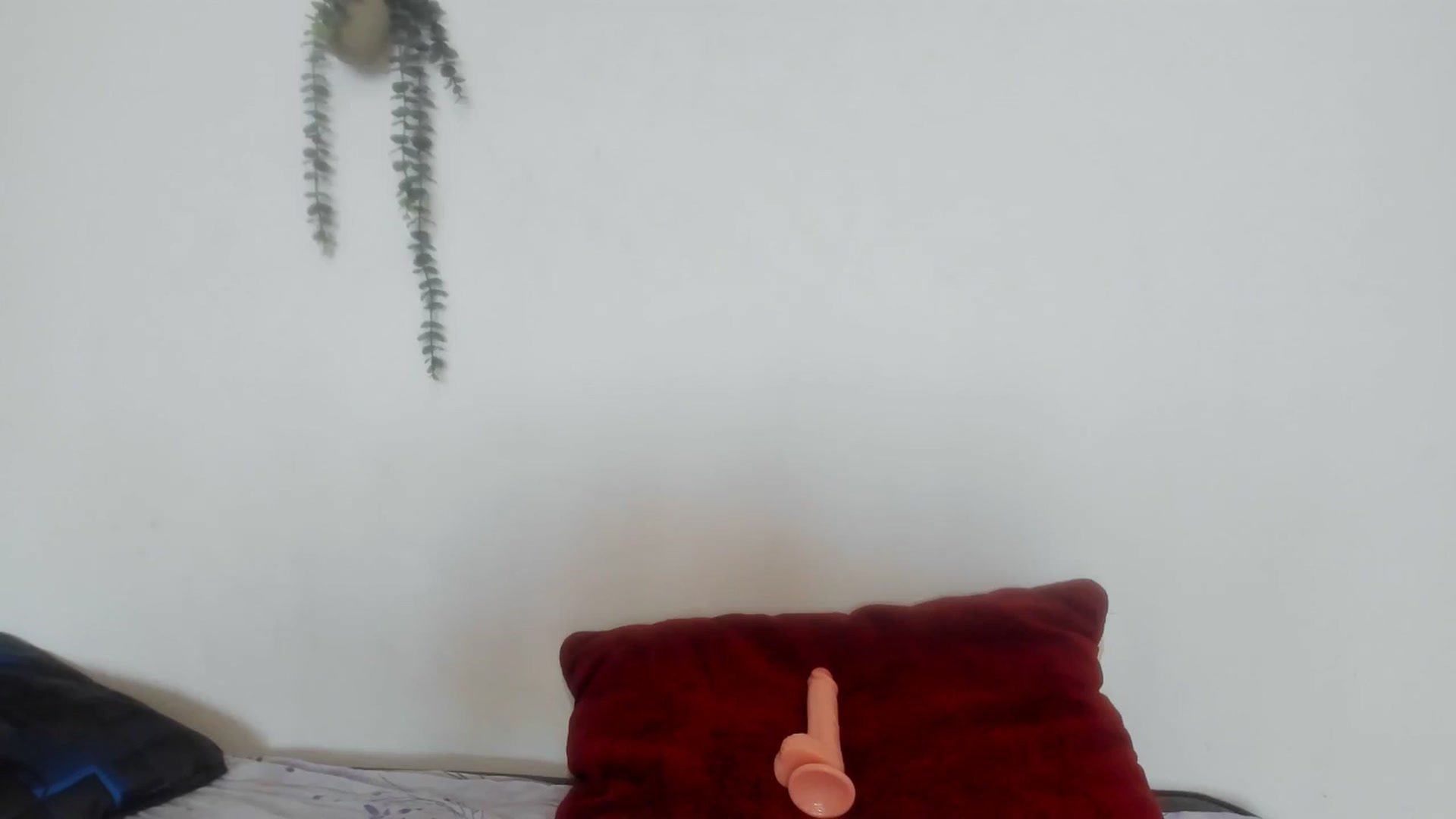 Gallery image thumbnail from AliceKatz's myfreecams stream on, 07/19/2024, 16:02 image 15 of 20