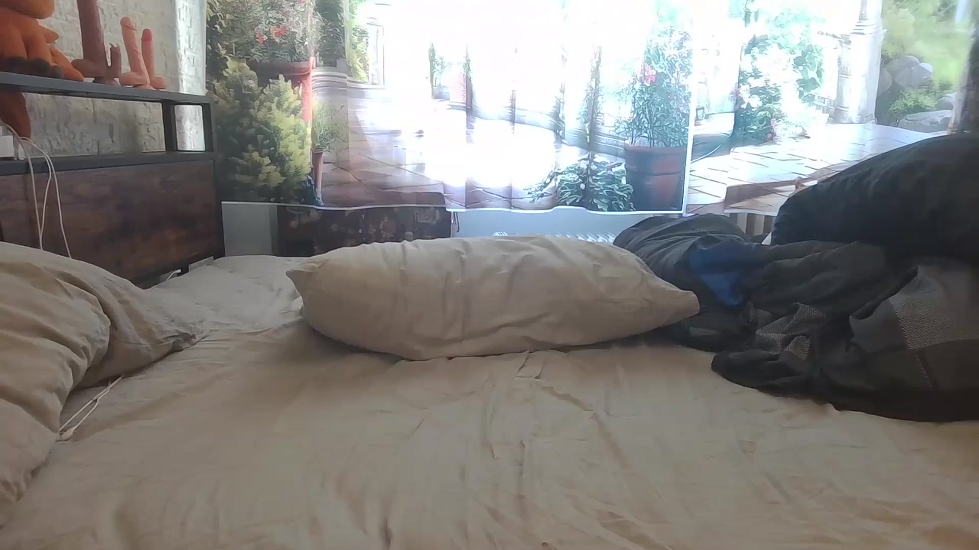 Gallery image thumbnail from AliceKatz's myfreecams stream on, 02/25/2025, 12:57 image 6 of 20