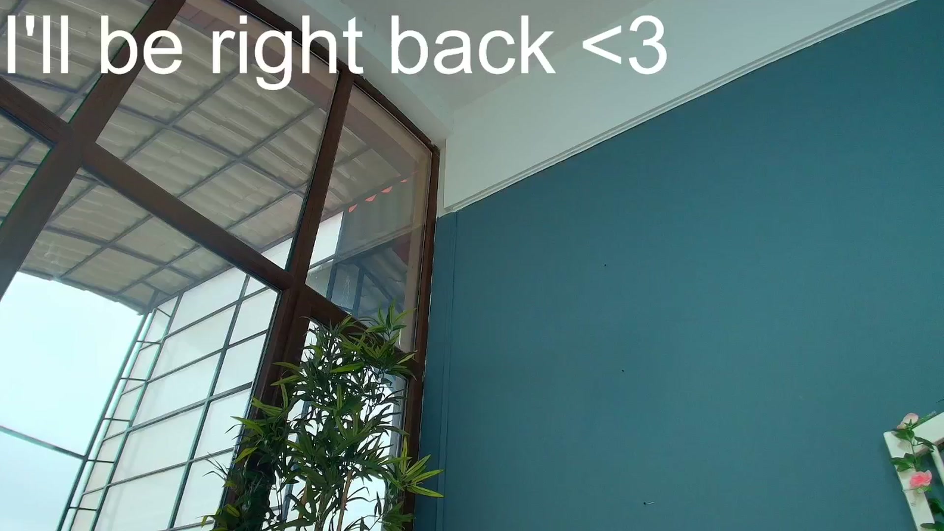 Gallery image thumbnail from AlicePirce's myfreecams stream on, 12/02/2025, 12:22 image 4 of 20
