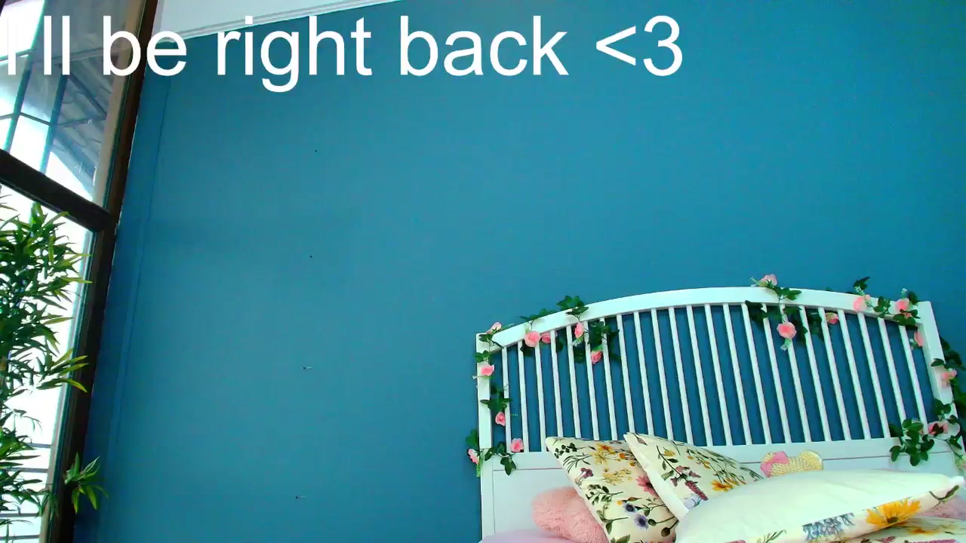Gallery image thumbnail from AlicePirce's myfreecams stream on, 12/09/2025, 12:13 image 16 of 20