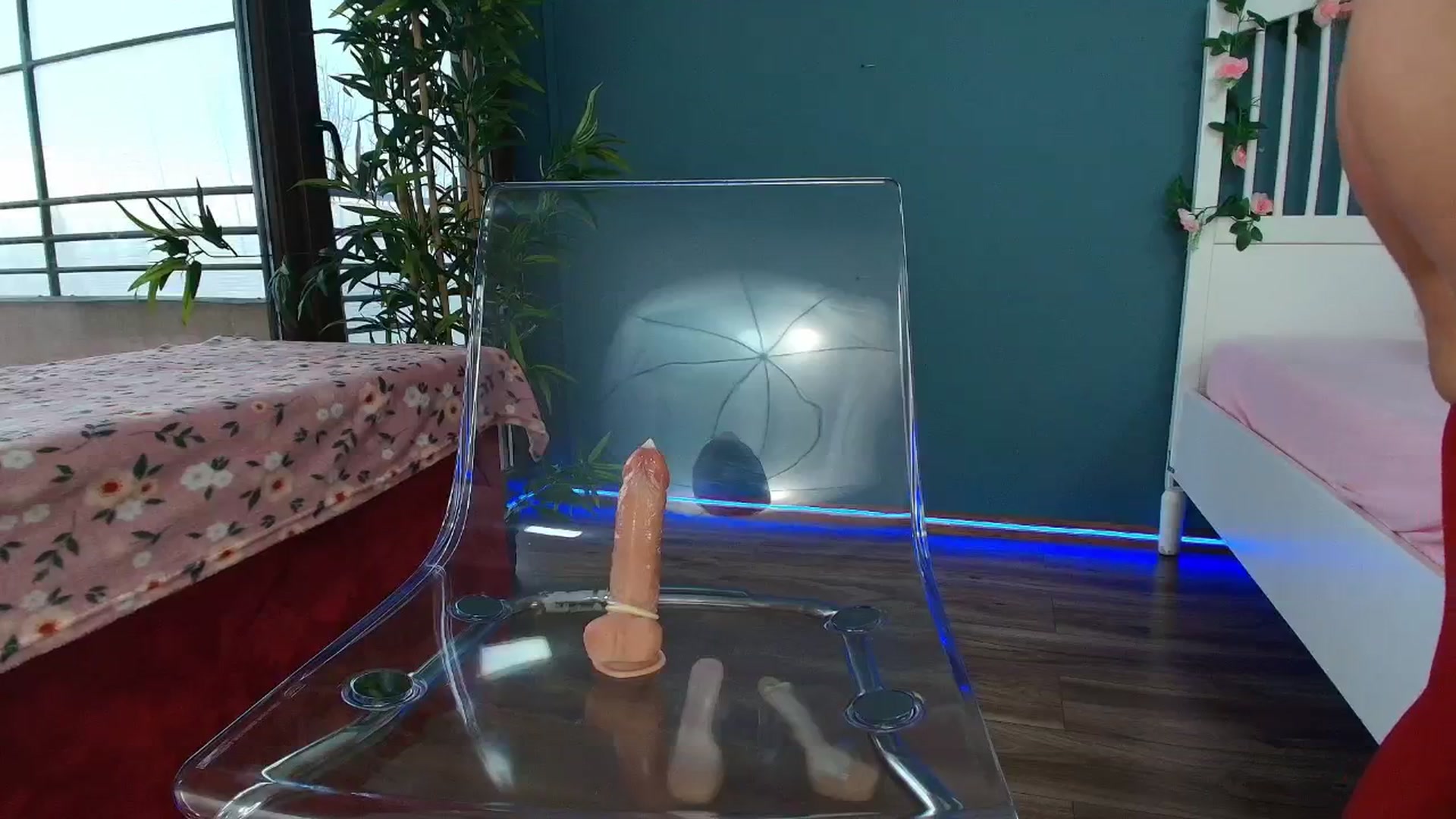 Gallery image thumbnail from AlicePirce's myfreecams stream on, 12/12/2025, 10:49 image 17 of 20
