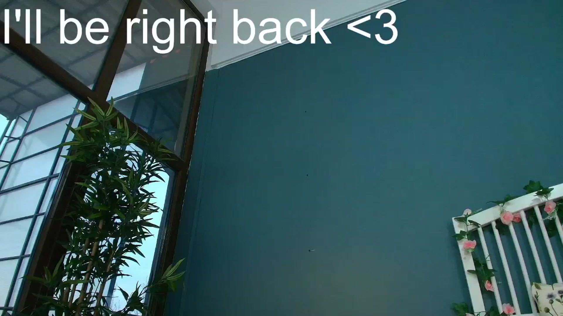 Gallery image thumbnail from AlicePirce's myfreecams stream on, 12/18/2025, 08:48 image 9 of 20
