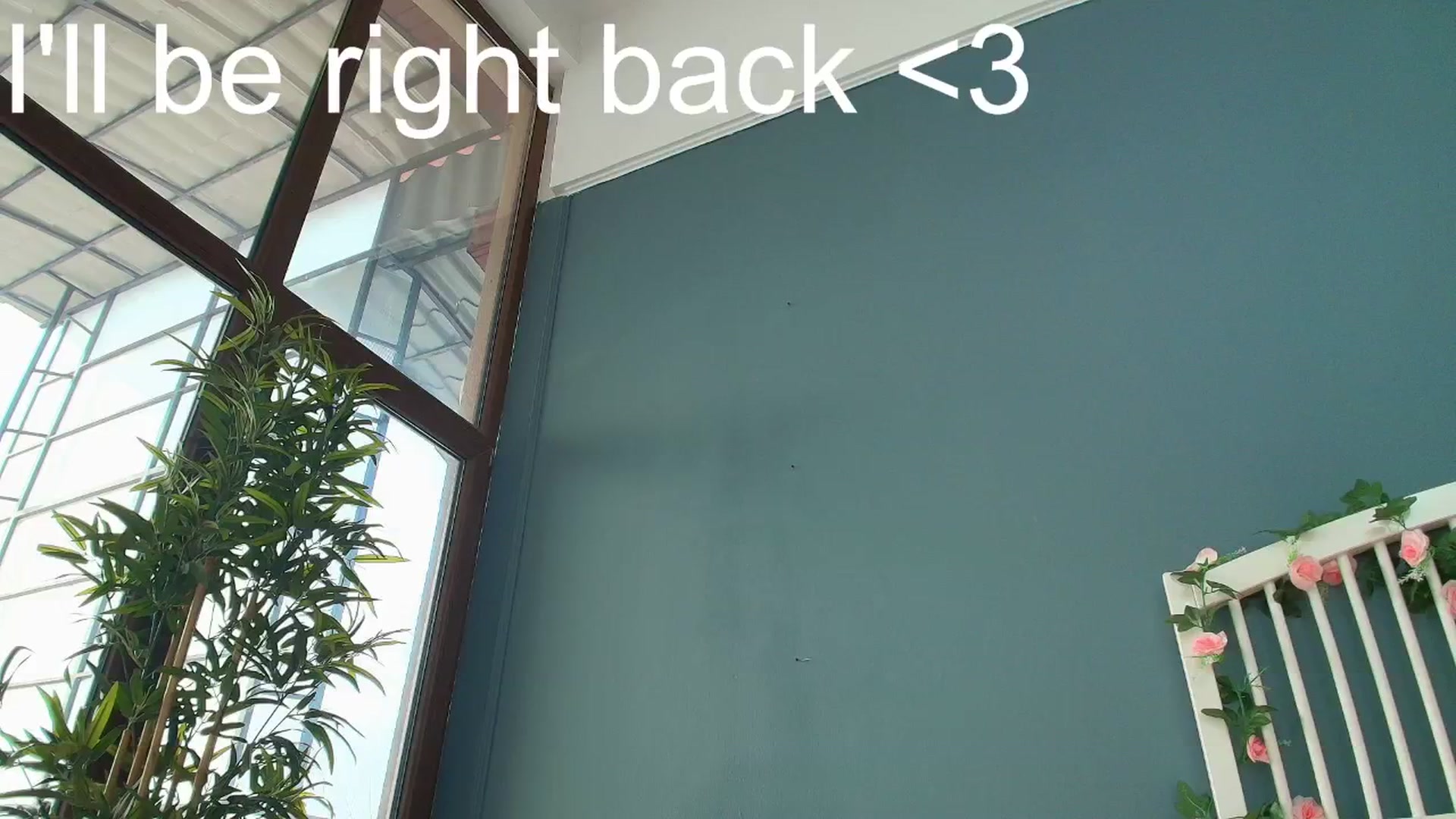 Gallery image thumbnail from AlicePirce's myfreecams stream on, 01/25/2026, 11:22 image 6 of 20
