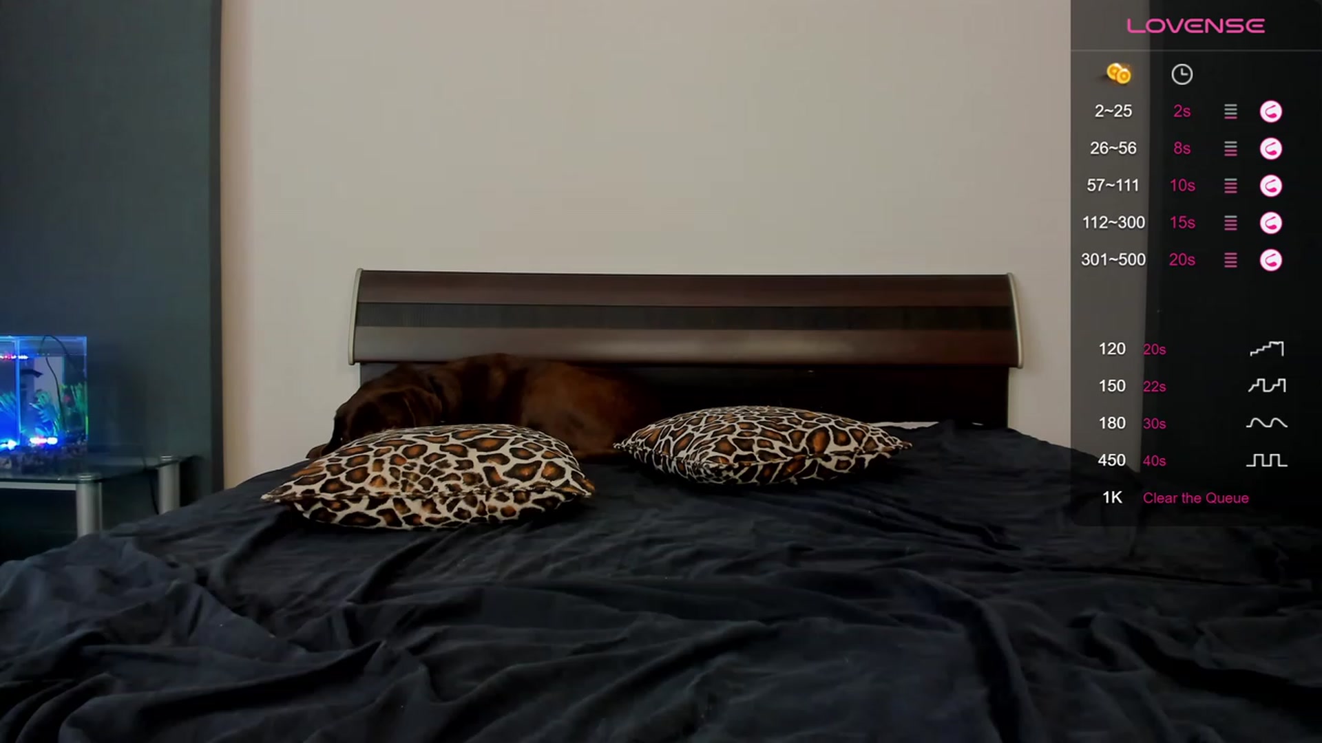 Gallery image thumbnail from AliceQueeny's myfreecams stream on, 09/11/2023, 07:40 image 17 of 20