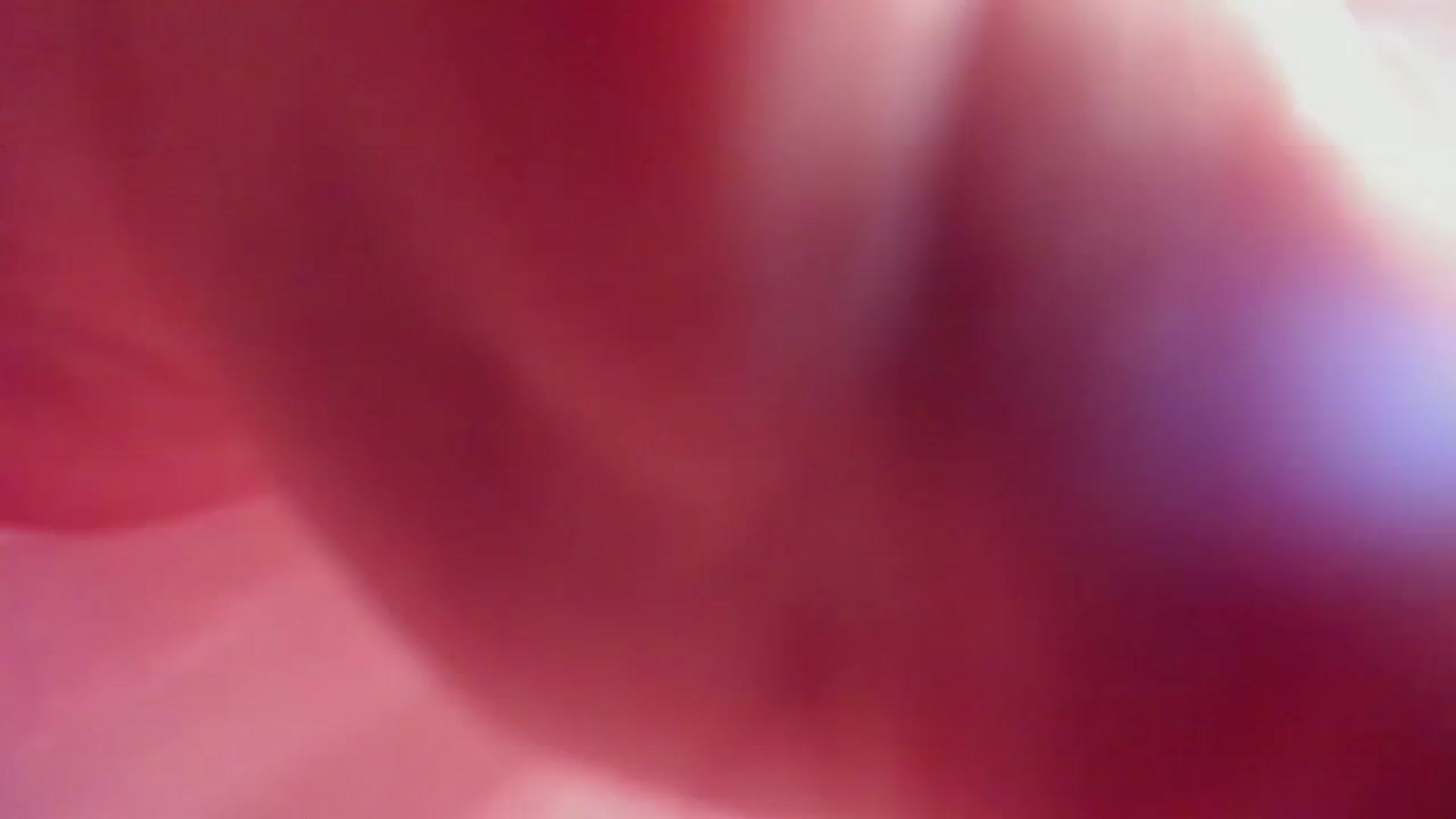 Gallery image thumbnail from AliceXsweeT's myfreecams stream on, 02/02/2025, 16:39 image 1 of 20