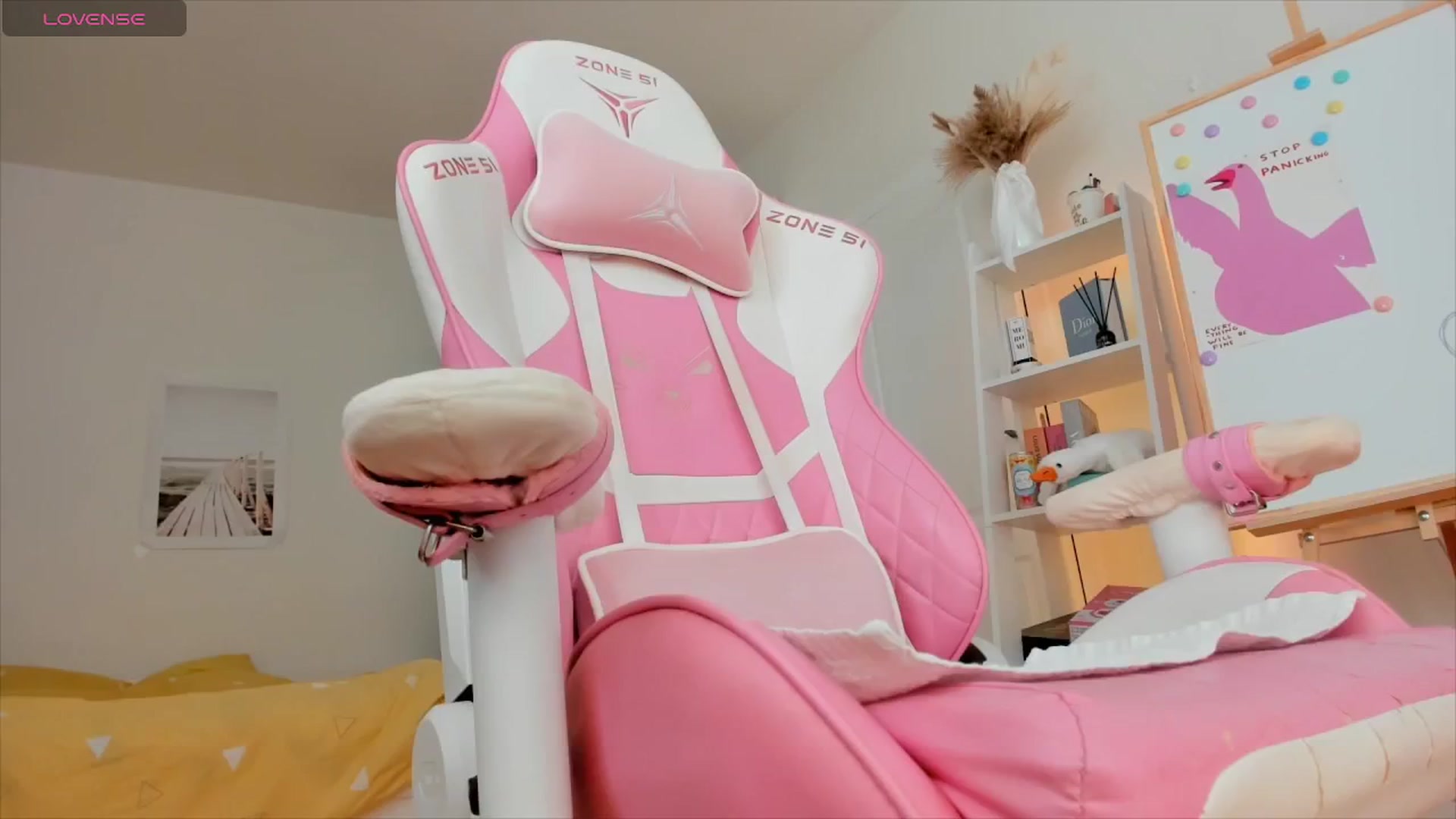 Gallery image thumbnail from Alice_Chery's myfreecams stream on, 06/23/2024, 10:56 image 10 of 20