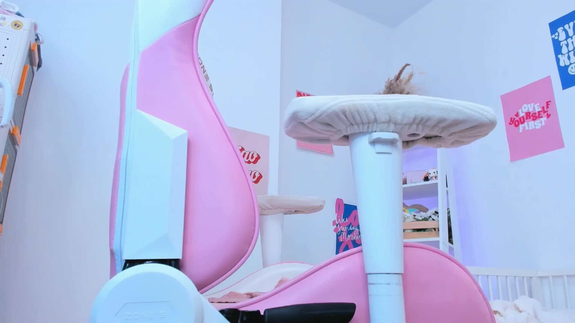 Gallery image thumbnail from Alice_Chery's myfreecams stream on, 05/30/2025, 08:25 image 4 of 20