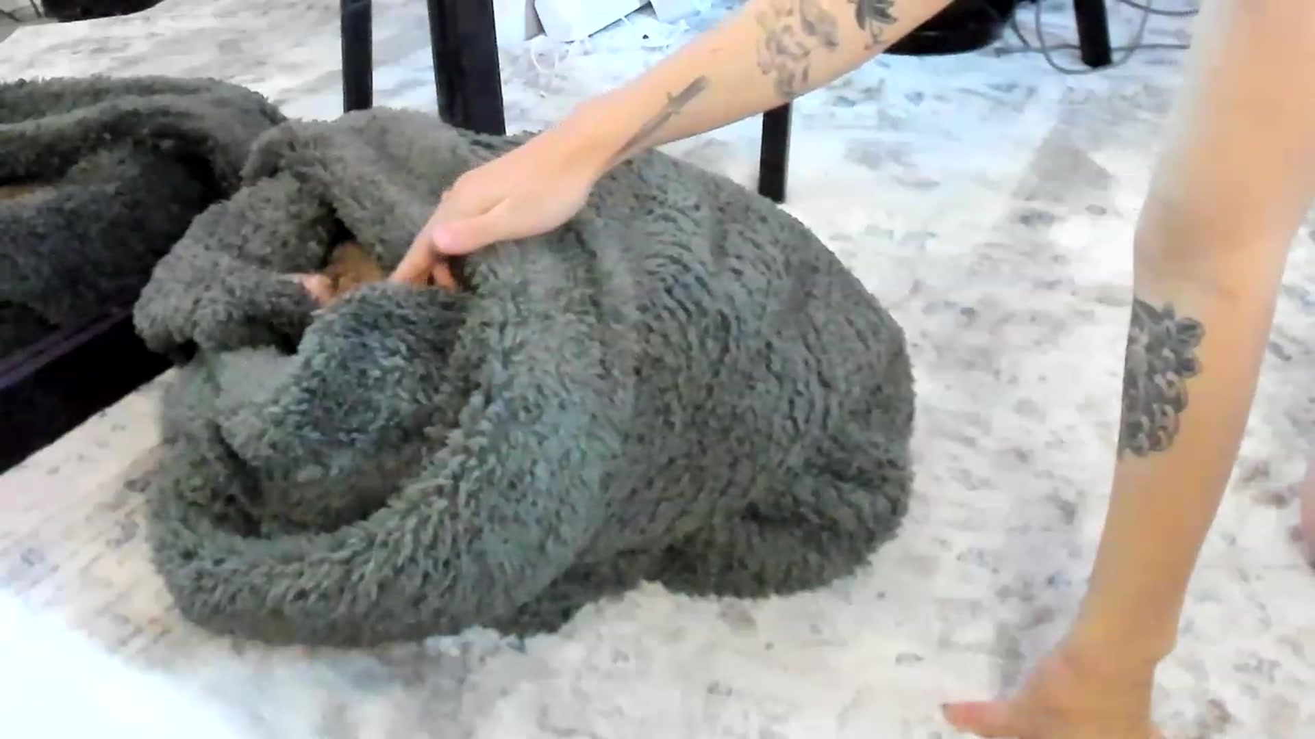 Gallery image thumbnail from Alice_NZ's myfreecams stream on, 04/12/2023, 04:33 image 19 of 20