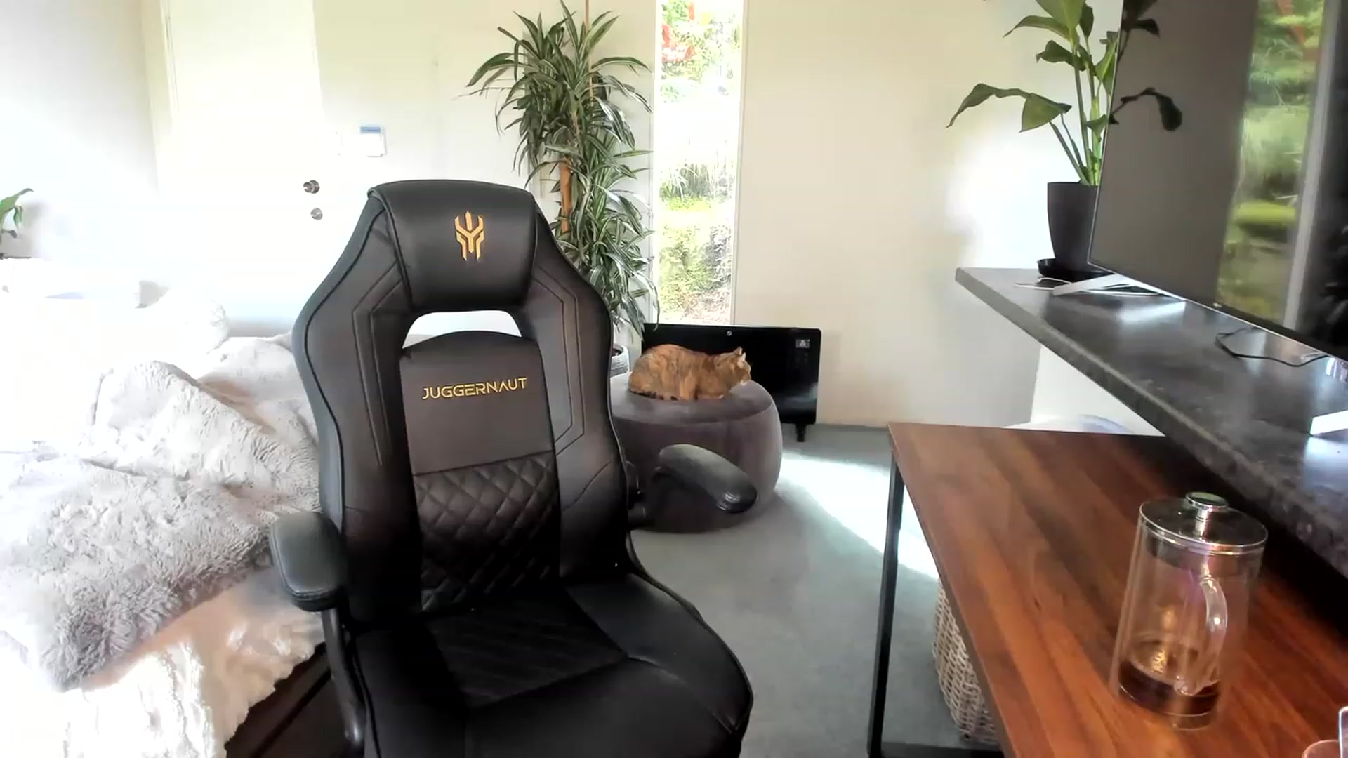 Gallery image thumbnail from Alice_NZ's myfreecams stream on, 04/18/2023, 01:05 image 10 of 20
