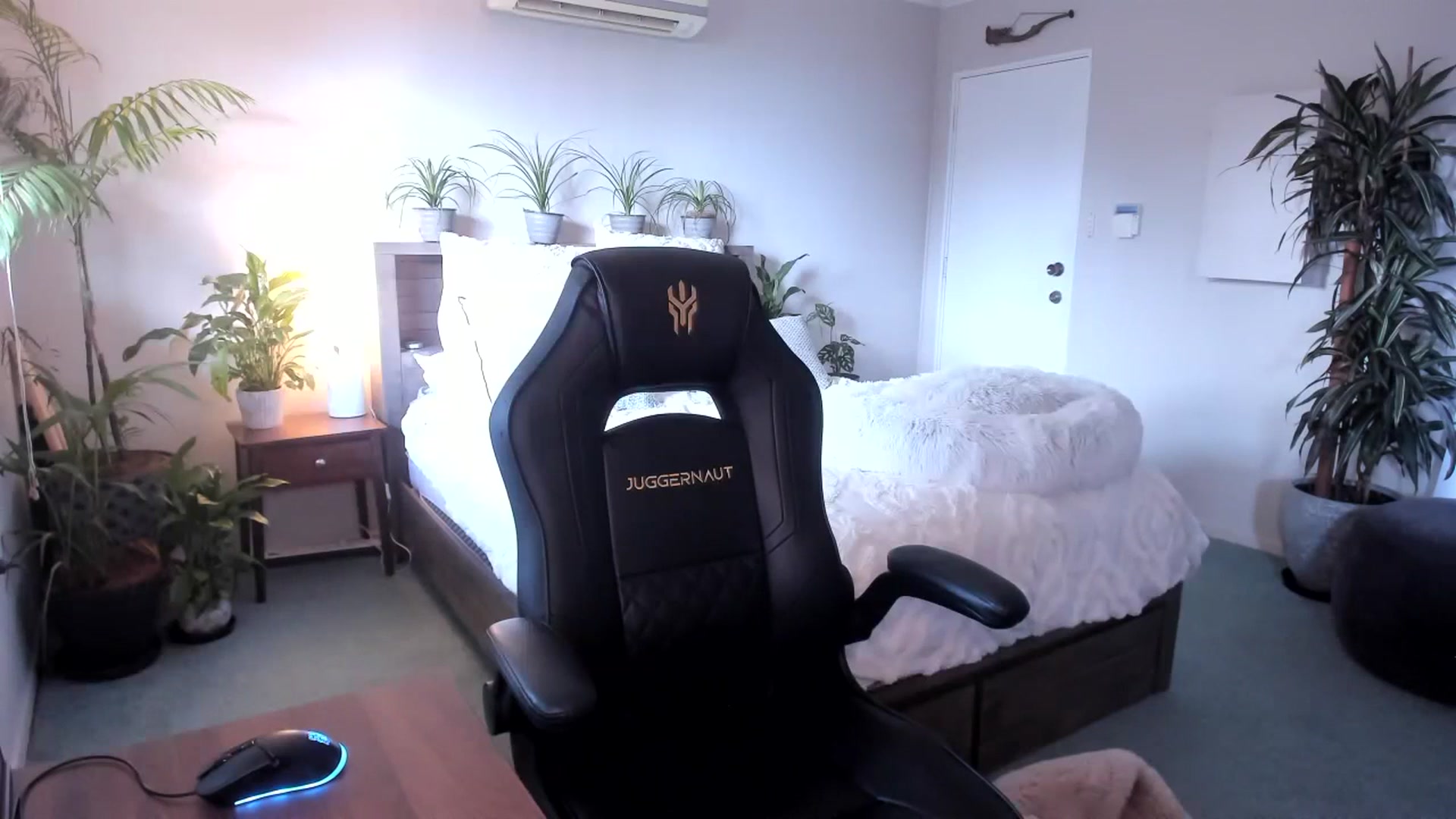 Gallery image thumbnail from Alice_NZ's myfreecams stream on, 06/30/2023, 02:31 image 20 of 20