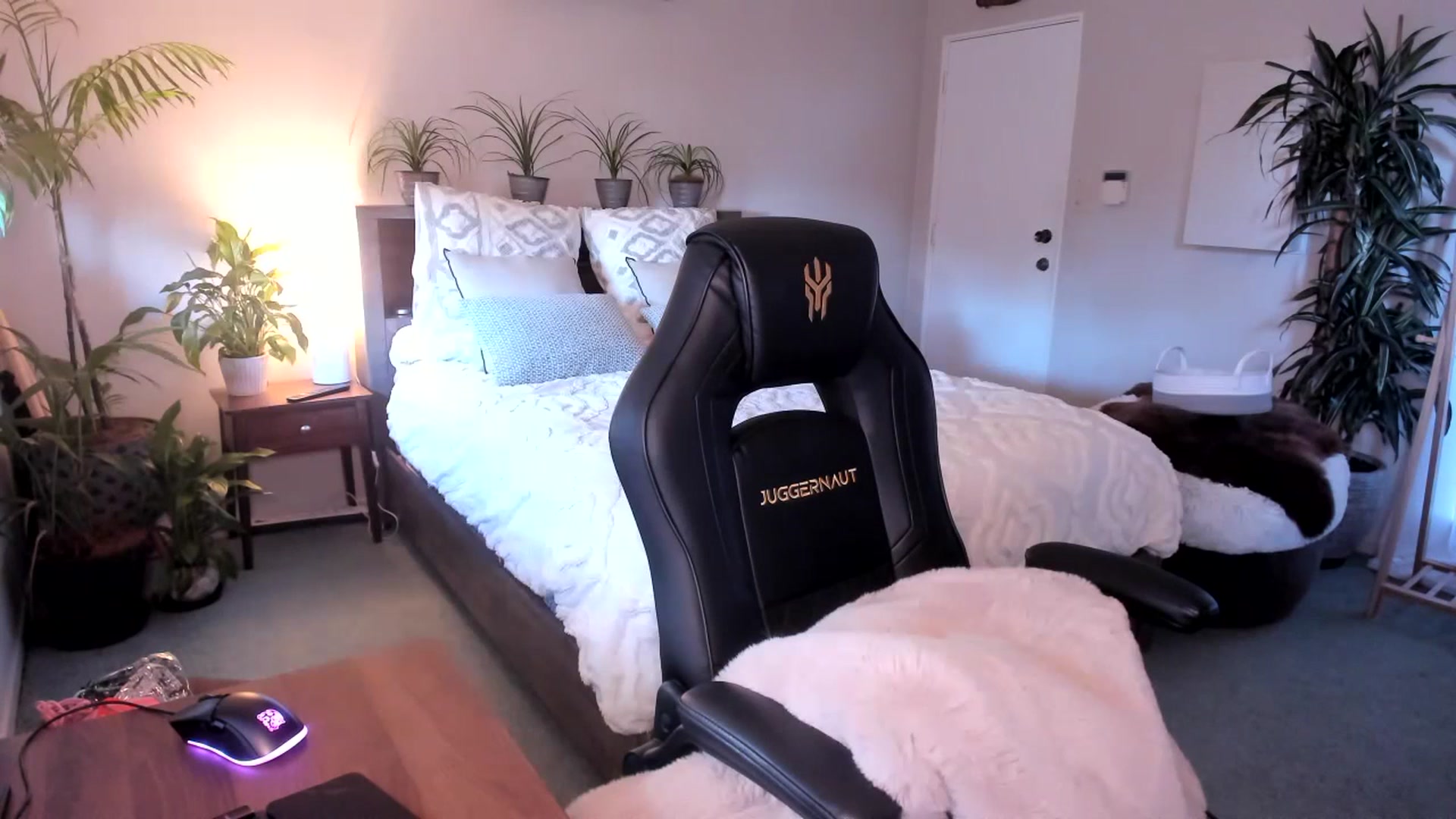 Gallery image thumbnail from Alice_NZ's myfreecams stream on, 07/13/2023, 02:58 image 2 of 20