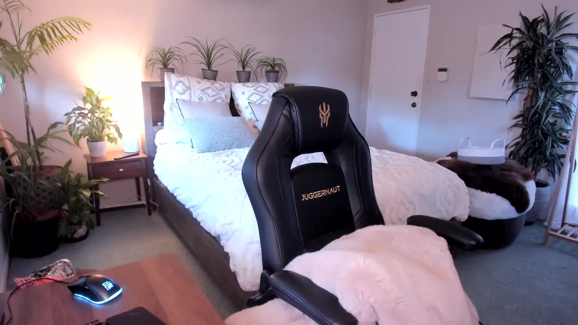 Gallery image thumbnail from Alice_NZ's myfreecams stream on, 07/13/2023, 02:58 image 3 of 20