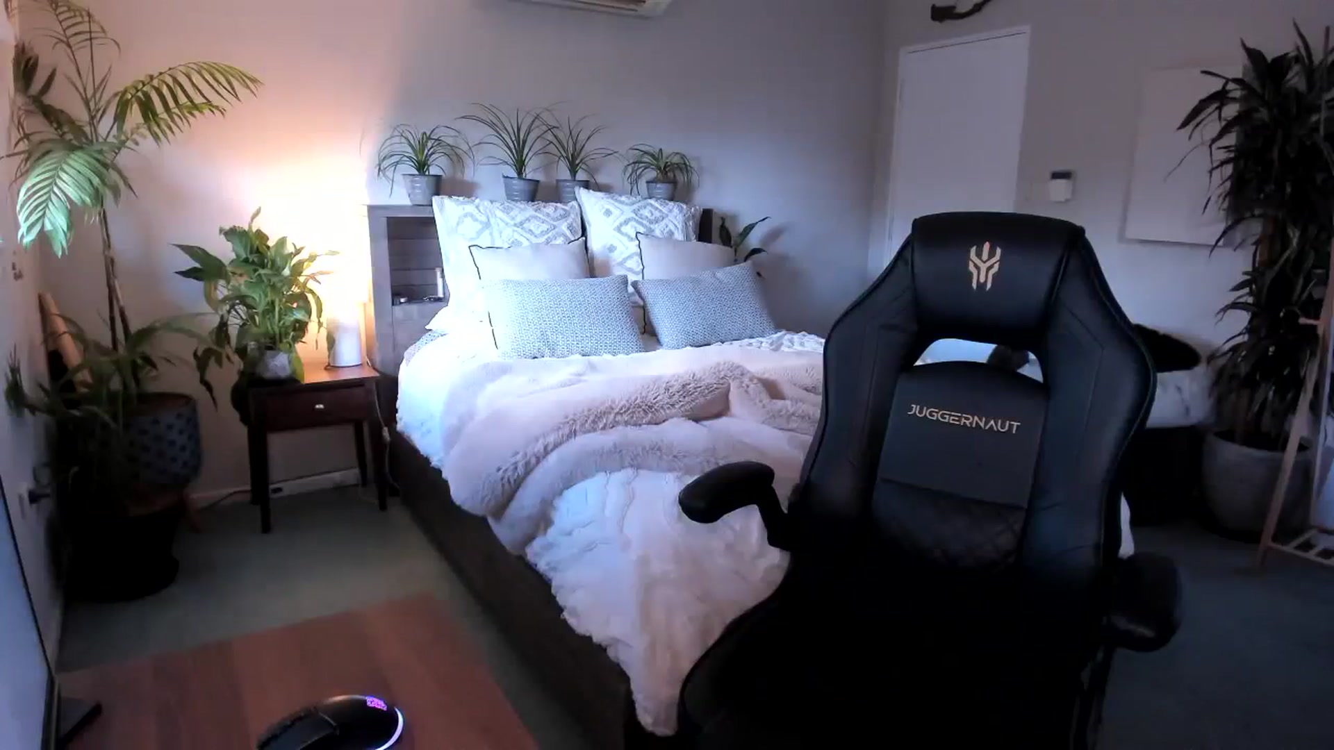 Gallery image thumbnail from Alice_NZ's myfreecams stream on, 08/01/2023, 24:40 image 8 of 20