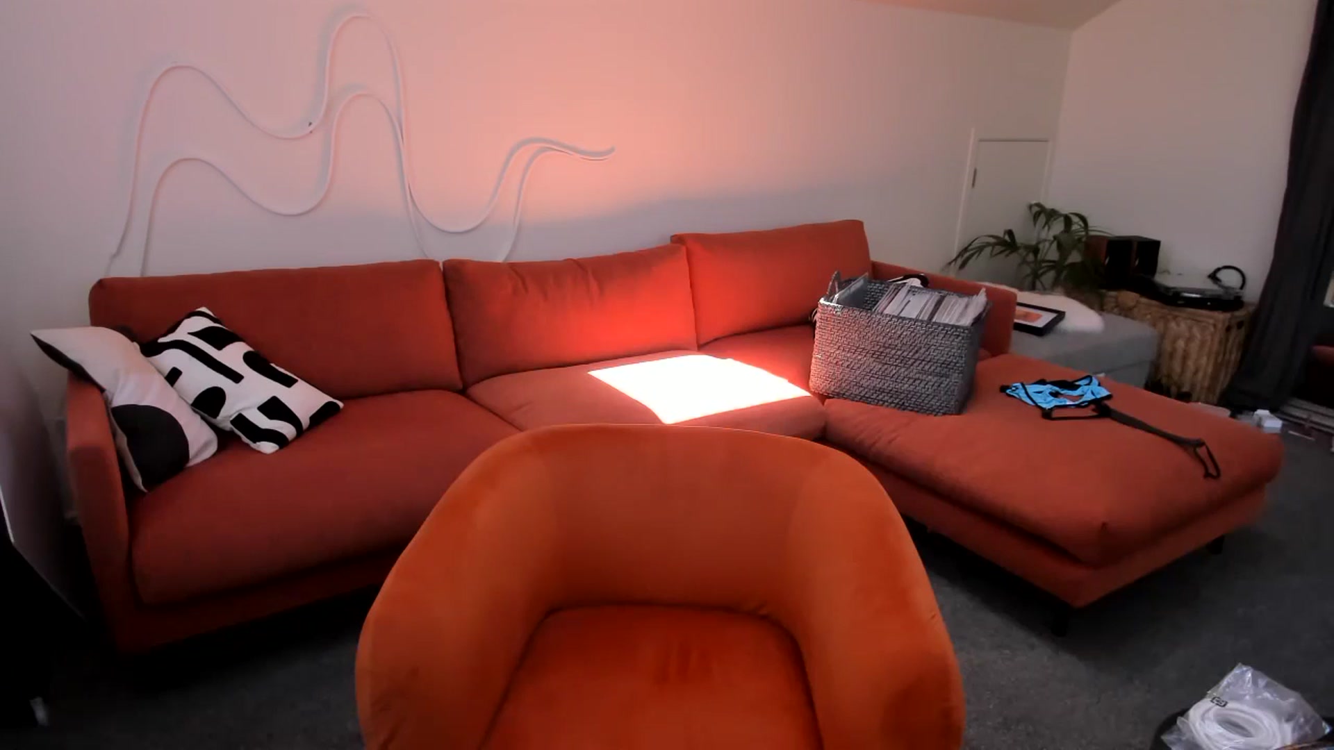 Gallery image thumbnail from Alice_NZ's myfreecams stream on, 01/13/2025, 01:58 image 10 of 20