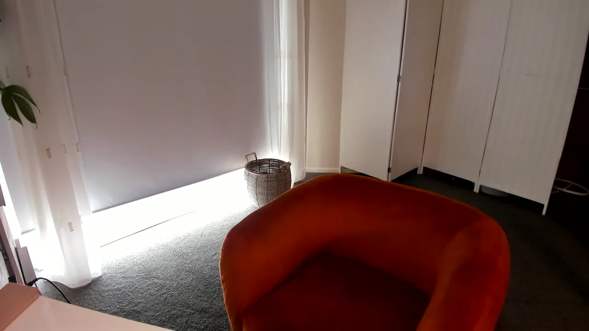 Gallery image thumbnail from Alice_NZ's myfreecams stream on, 01/24/2025, 24:02 image 17 of 20
