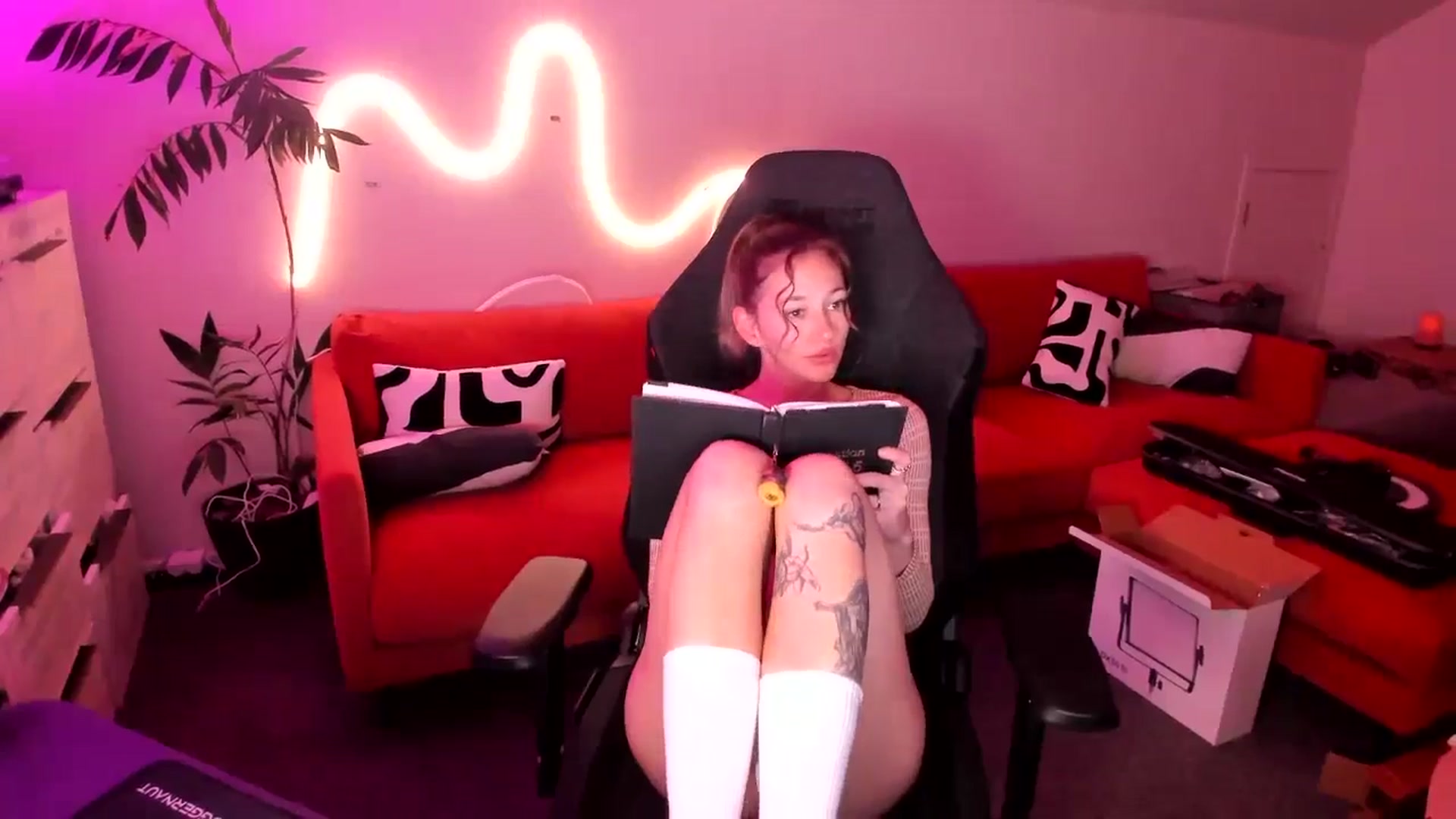 Gallery image thumbnail from Alice_NZ's myfreecams stream on, 07/02/2025, 06:45 image 15 of 20