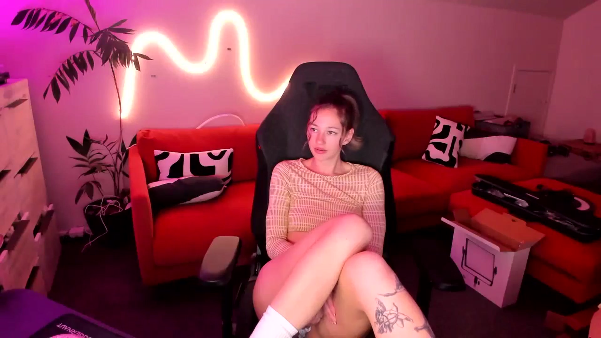 Gallery image thumbnail from Alice_NZ's myfreecams stream on, 07/02/2025, 06:45 image 14 of 20