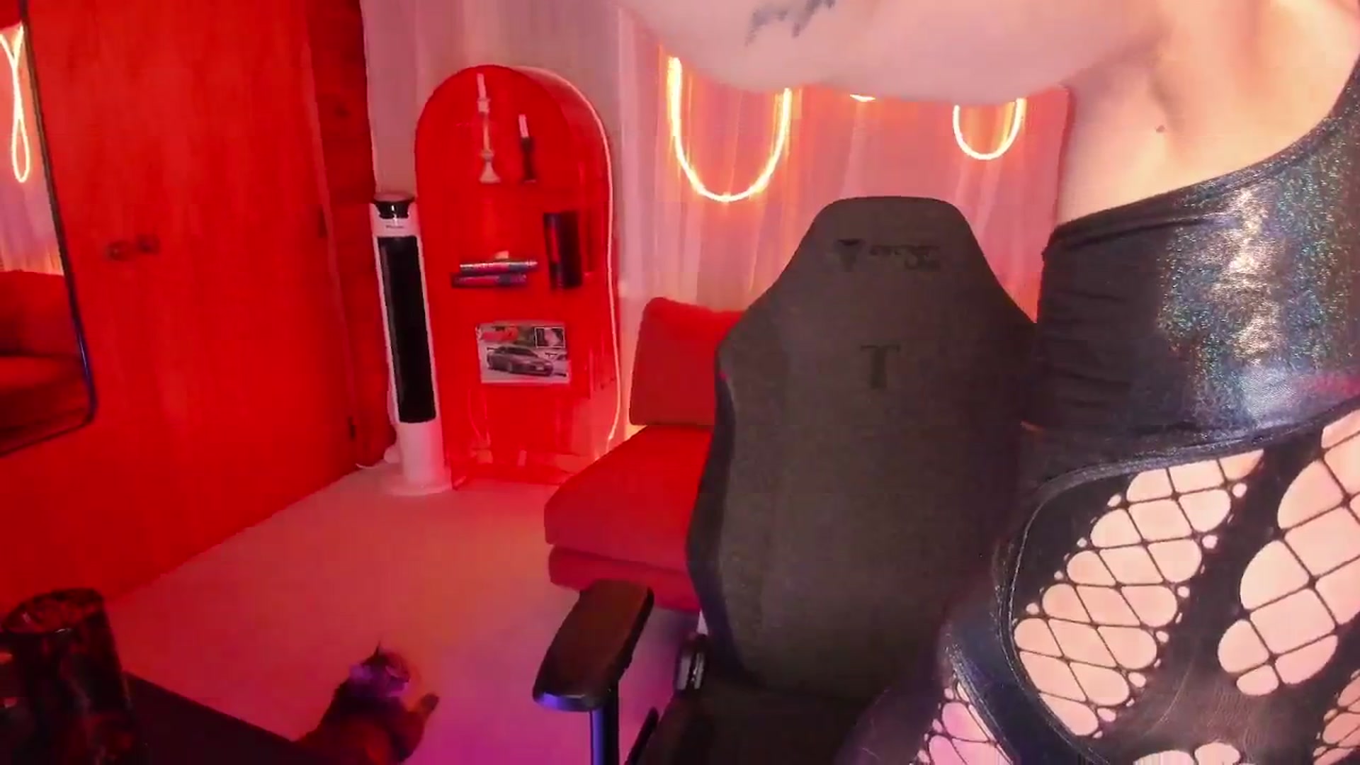 Gallery image thumbnail from Alice_NZ's myfreecams stream on, 11/10/2025, 09:04 image 14 of 20