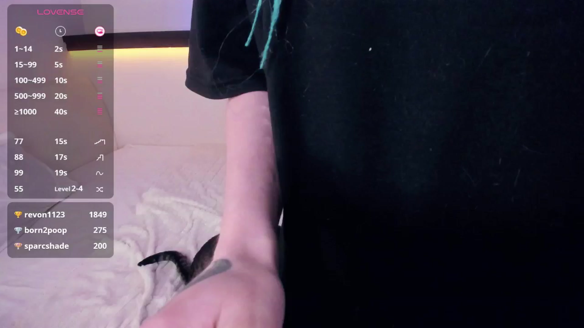 Gallery image thumbnail from Alicentity's myfreecams stream on, 01/31/2026, 17:53 image 11 of 20