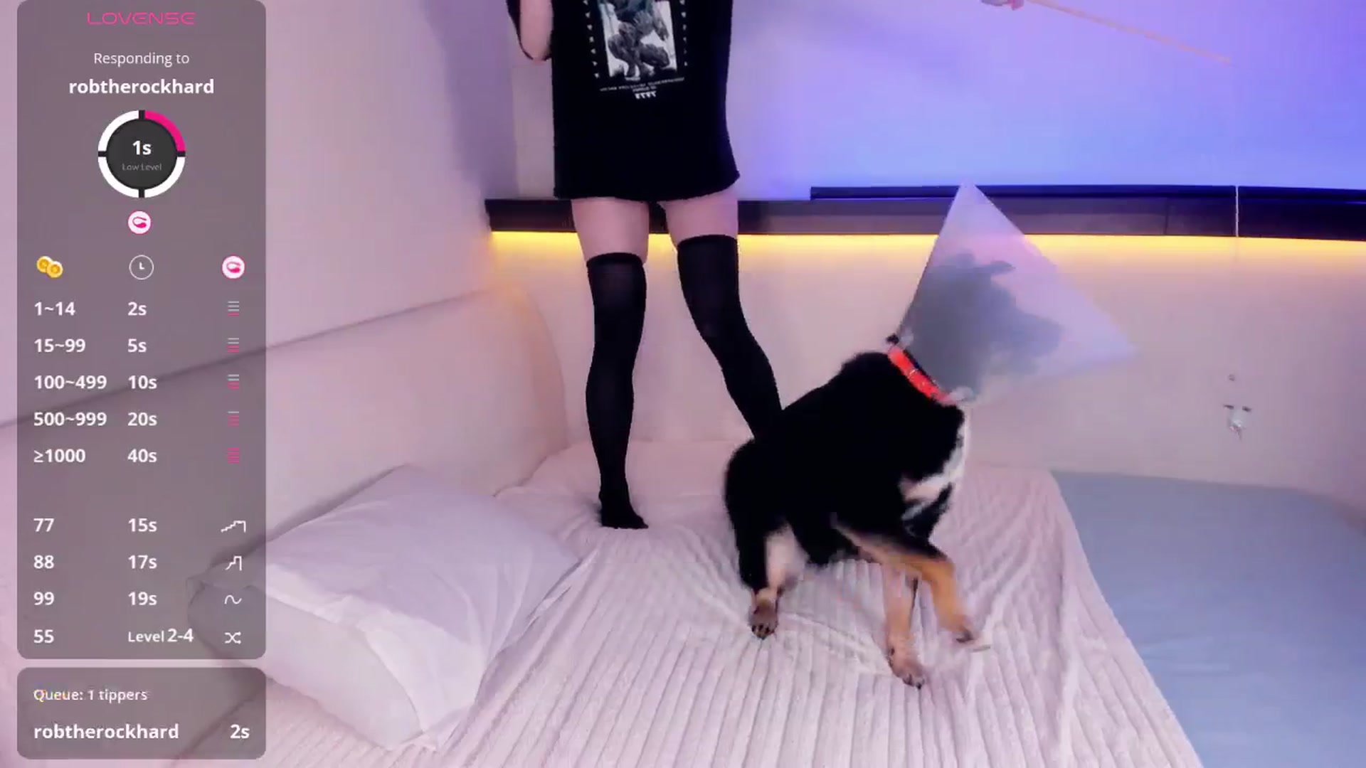 Gallery image thumbnail from Alicentity's myfreecams stream on, 02/11/2026, 07:01 image 13 of 20