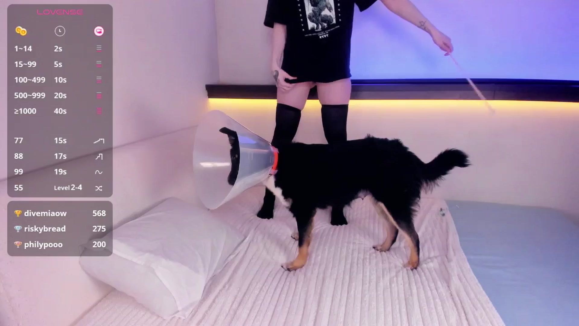 Gallery image thumbnail from Alicentity's myfreecams stream on, 02/11/2026, 07:01 image 14 of 20