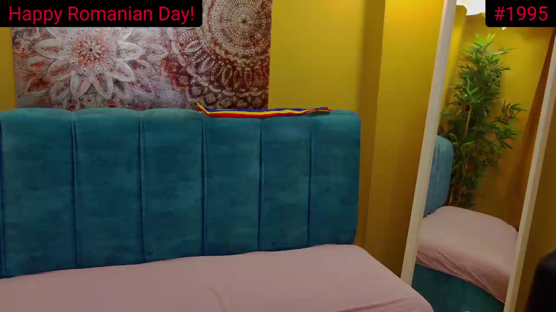 Gallery image thumbnail from AliciaKristal's myfreecams stream on, 12/01/2024, 22:36 image 11 of 20