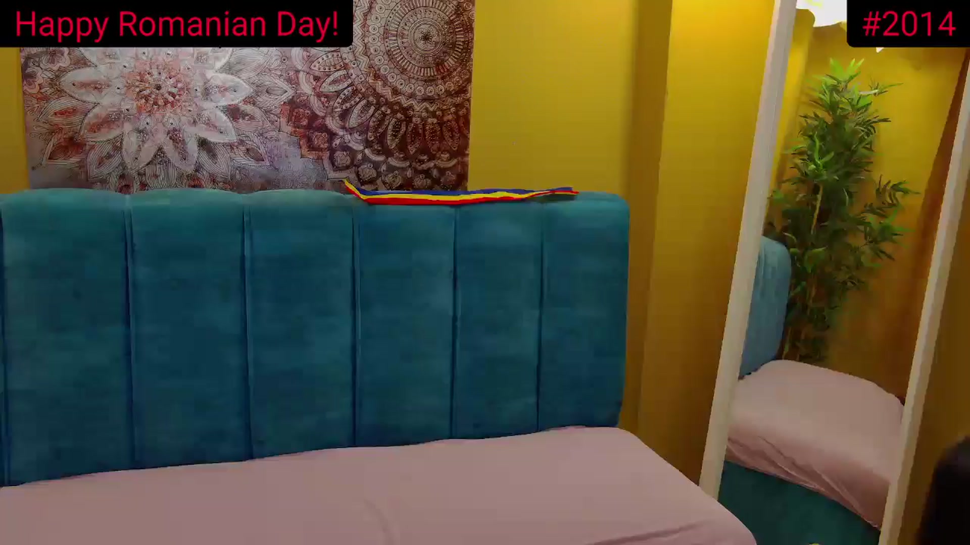 Gallery image thumbnail from AliciaKristal's myfreecams stream on, 12/01/2024, 22:36 image 20 of 20