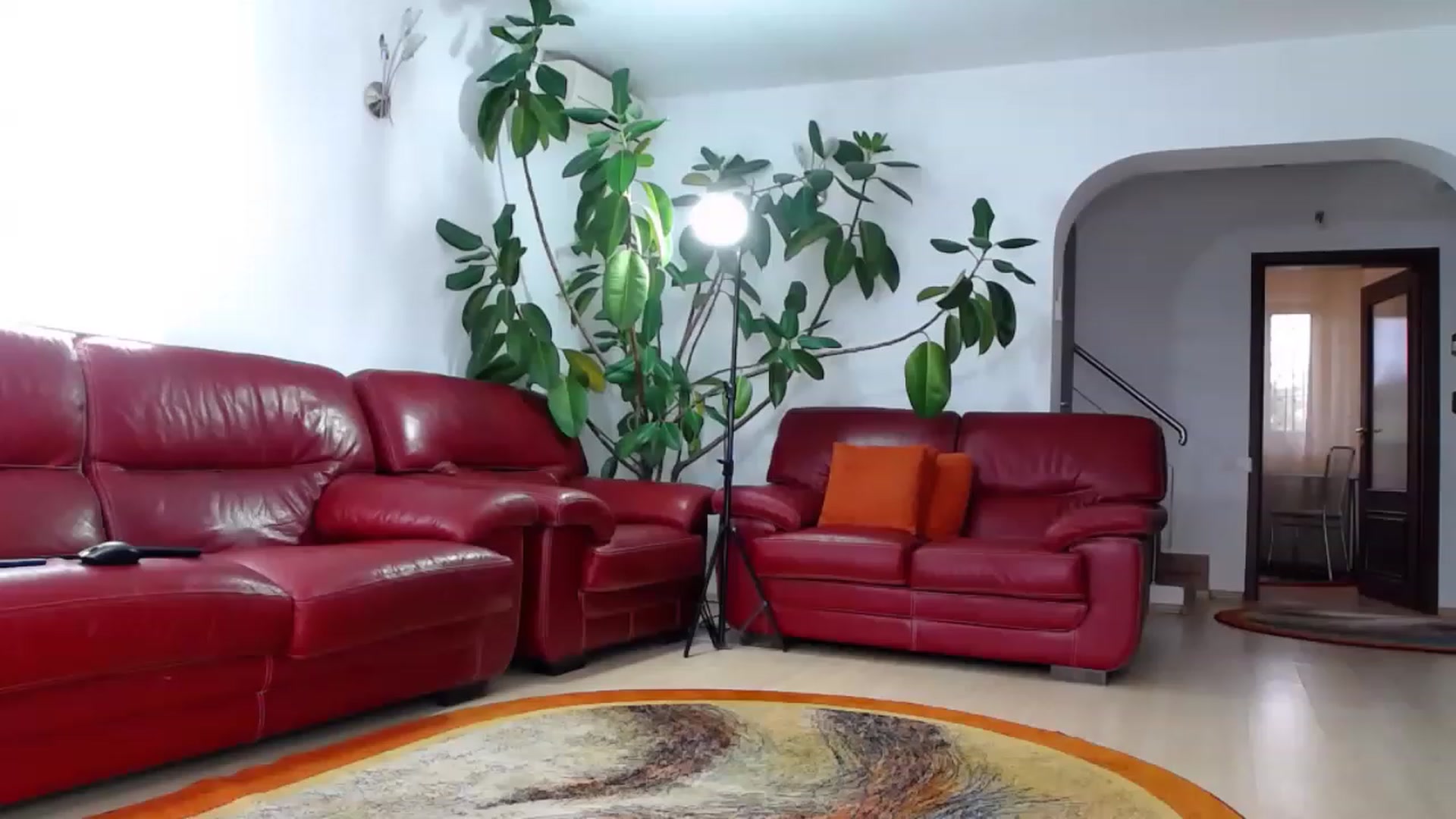 Gallery image thumbnail from Alicia_beggs's myfreecams stream on, 05/27/2023, 13:52 image 4 of 20