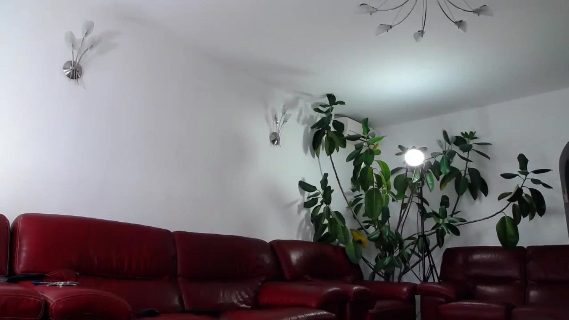 Gallery image thumbnail from Alicia_beggs's myfreecams stream on, 05/30/2023, 13:50 image 19 of 20