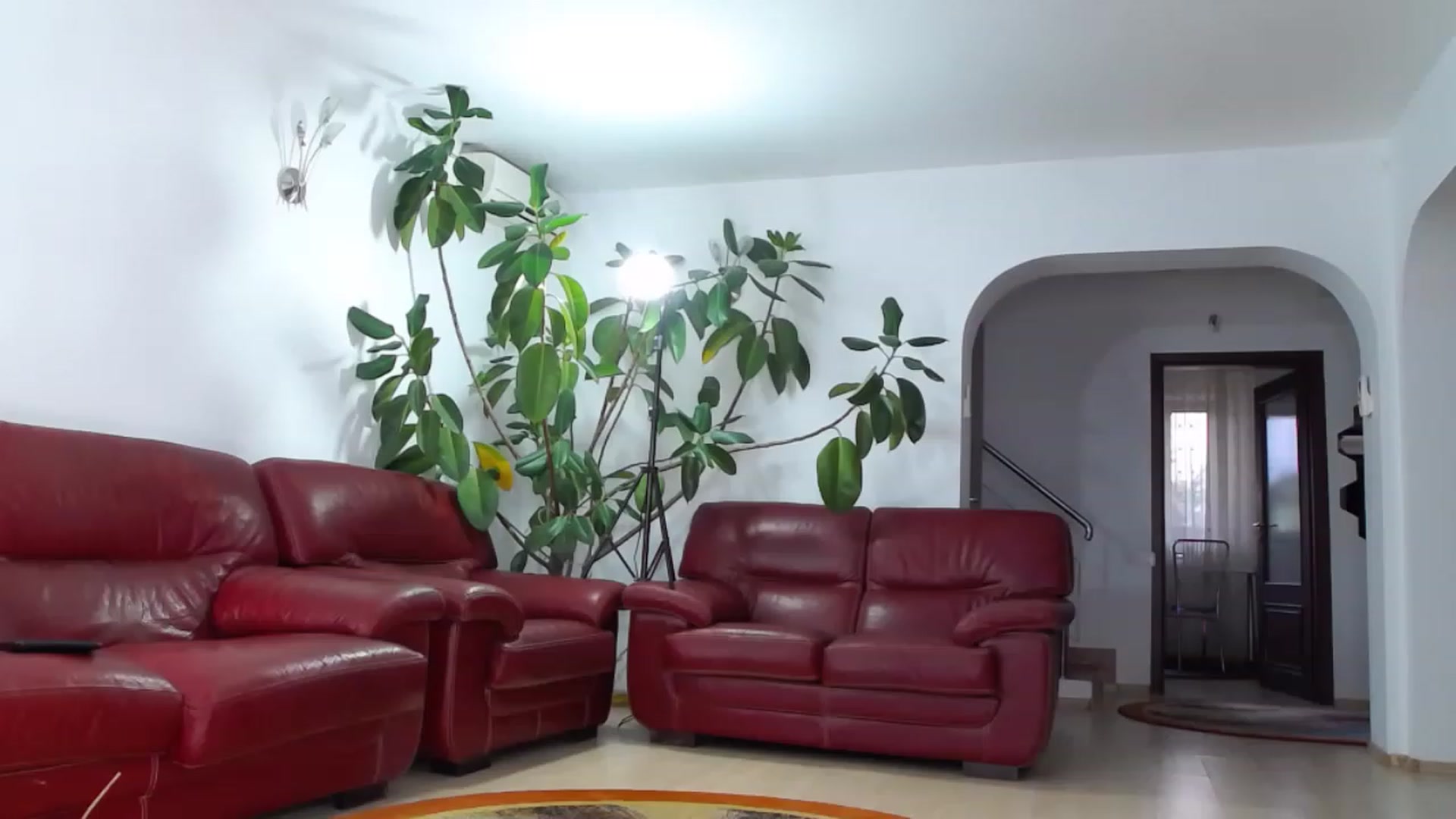 Gallery image thumbnail from Alicia_beggs's myfreecams stream on, 05/31/2023, 16:55 image 6 of 20