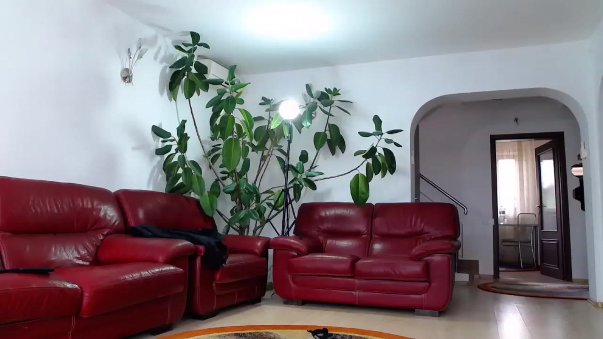 Gallery image thumbnail from Alicia_beggs's myfreecams stream on, 06/10/2023, 12:00 image 10 of 20