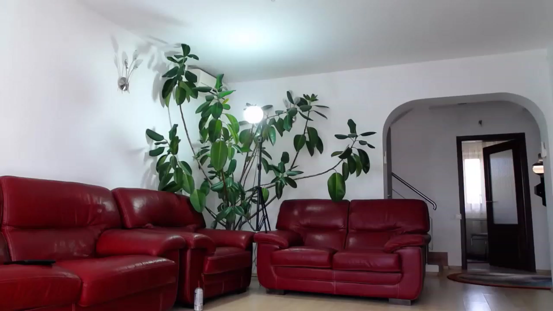 Gallery image thumbnail from Alicia_beggs's myfreecams stream on, 06/12/2023, 10:35 image 17 of 20