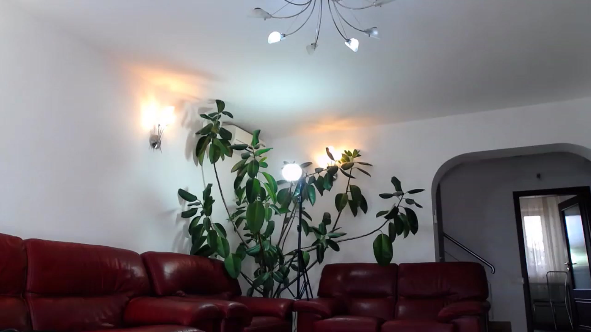 Gallery image thumbnail from Alicia_beggs's myfreecams stream on, 06/18/2023, 15:56 image 14 of 20
