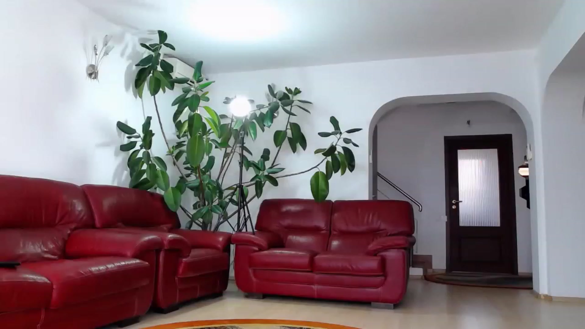 Gallery image thumbnail from Alicia_beggs's myfreecams stream on, 06/27/2023, 12:01 image 19 of 20