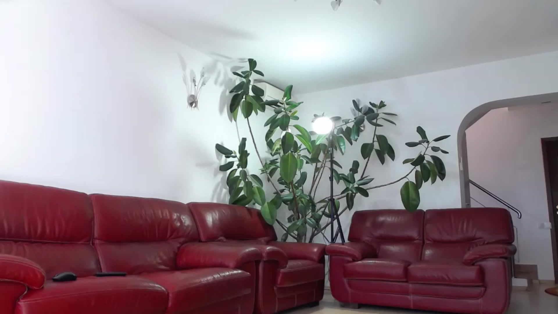 Gallery image thumbnail from Alicia_beggs's myfreecams stream on, 07/13/2023, 08:18 image 18 of 20