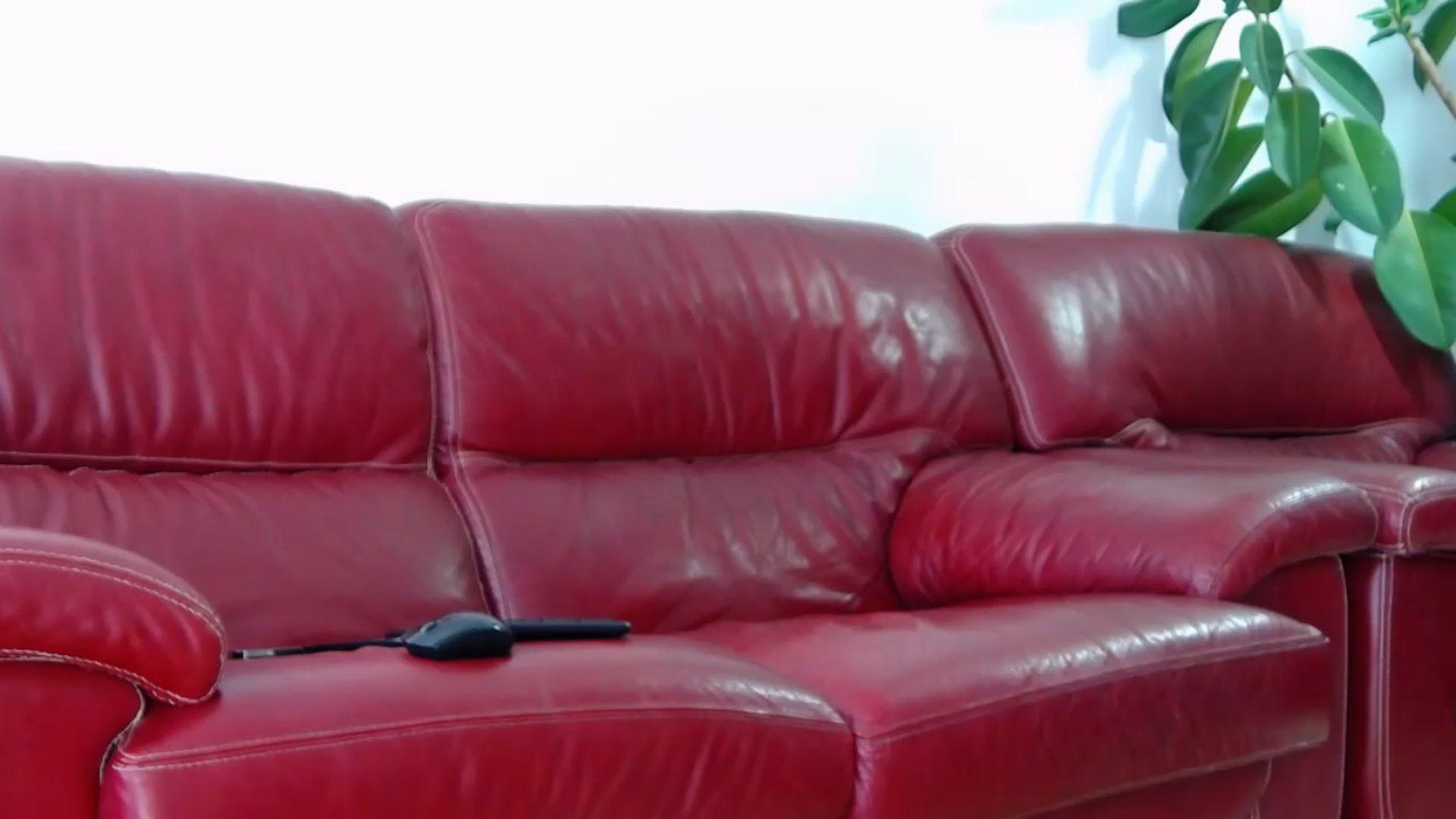 Gallery image thumbnail from Alicia_beggs's myfreecams stream on, 07/14/2023, 11:10 image 8 of 20