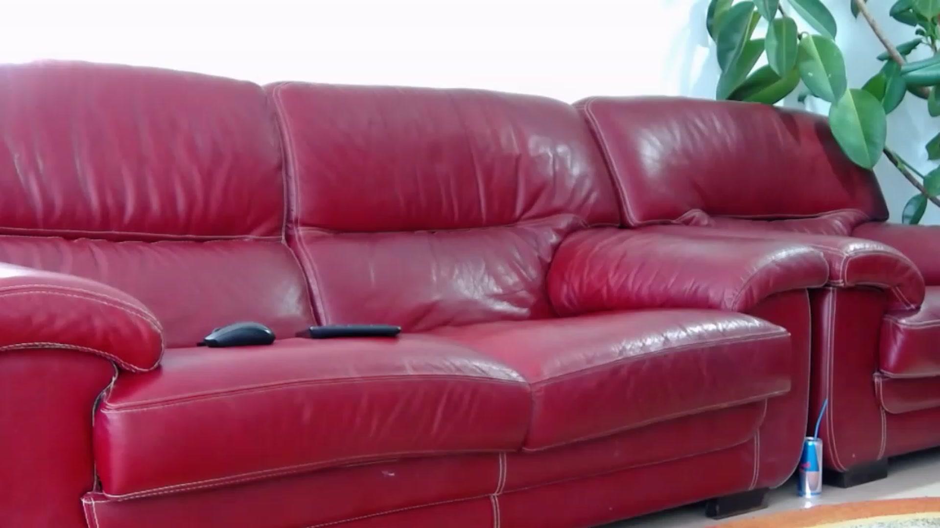 Gallery image thumbnail from Alicia_beggs's myfreecams stream on, 07/22/2023, 12:00 image 2 of 20
