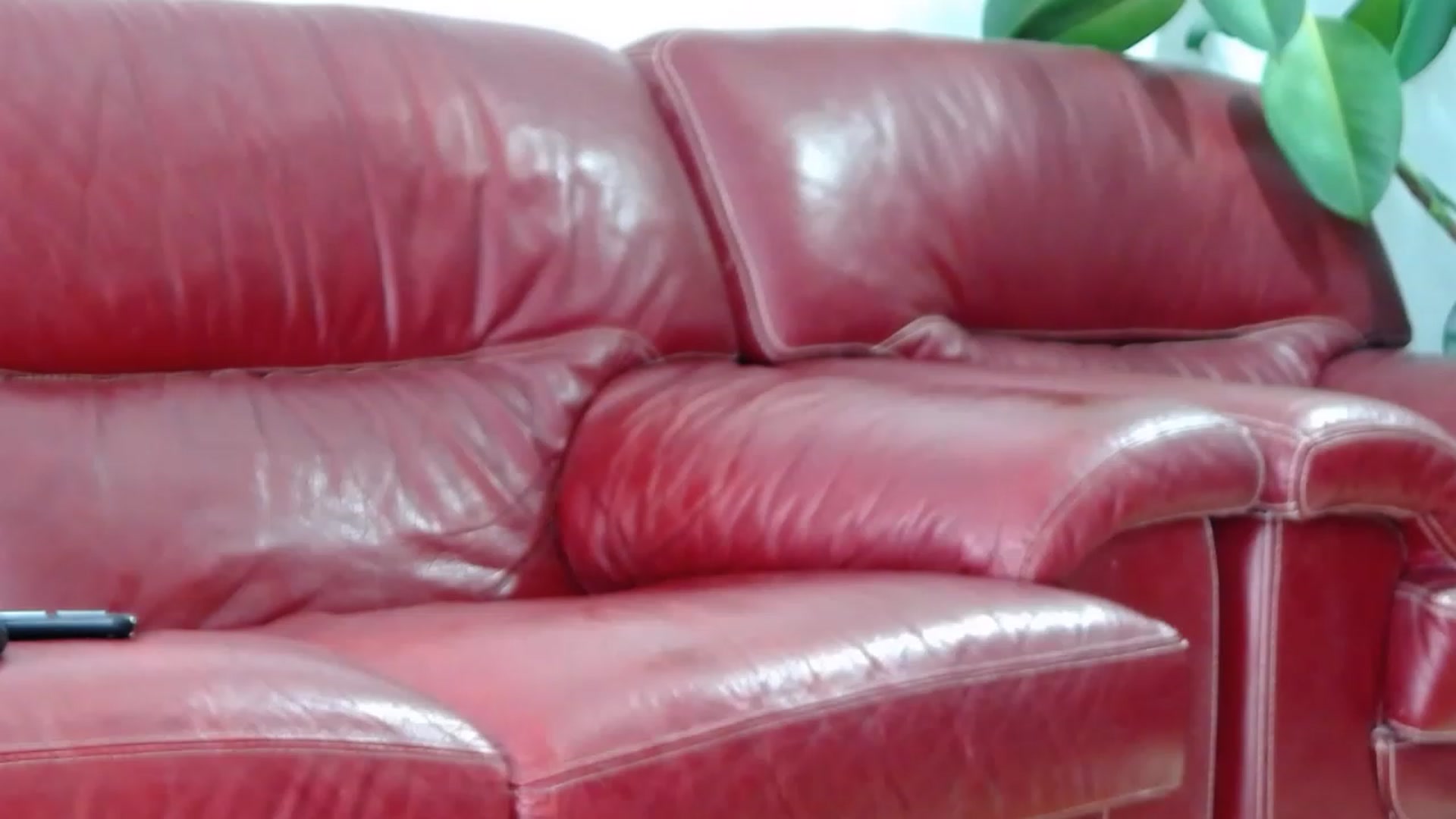 Gallery image thumbnail from Alicia_beggs's myfreecams stream on, 07/31/2023, 11:53 image 3 of 20