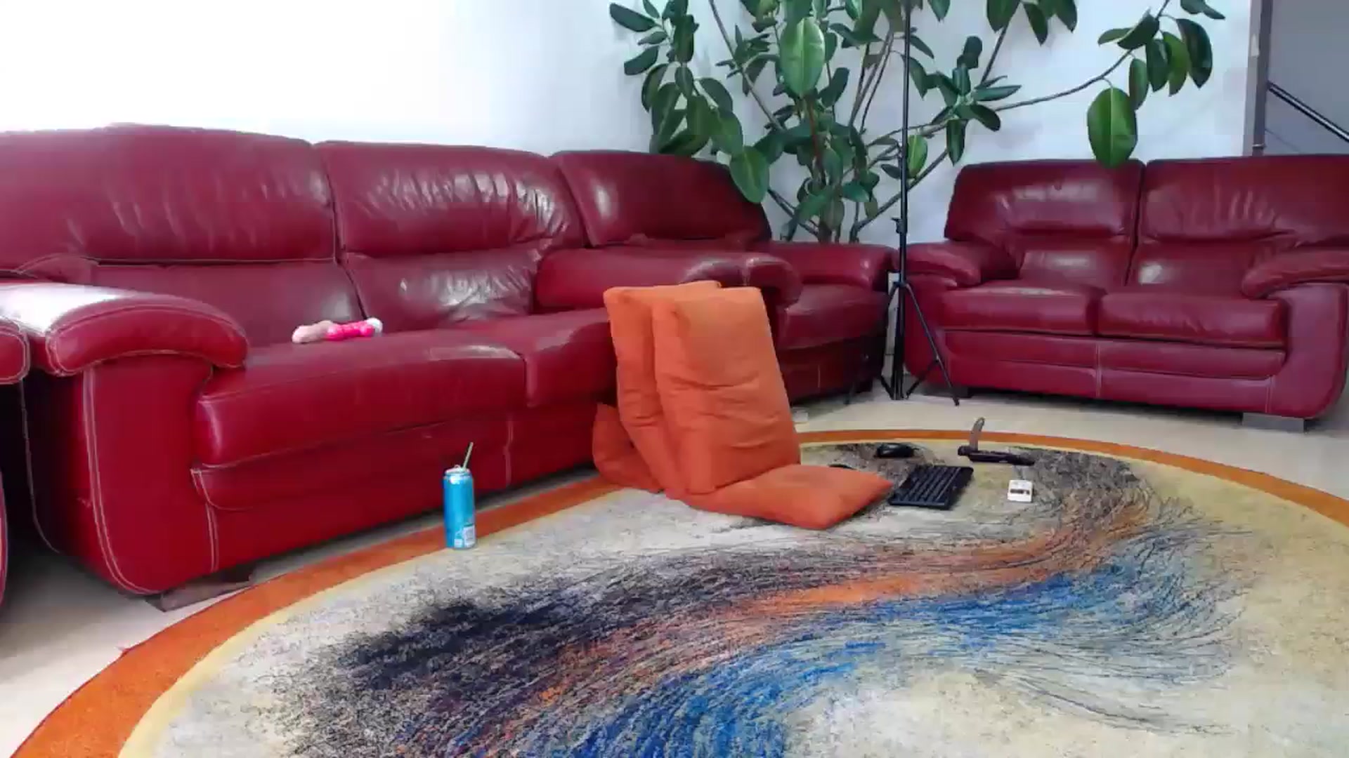 Gallery image thumbnail from Alicia_beggs's myfreecams stream on, 08/20/2023, 12:41 image 2 of 20