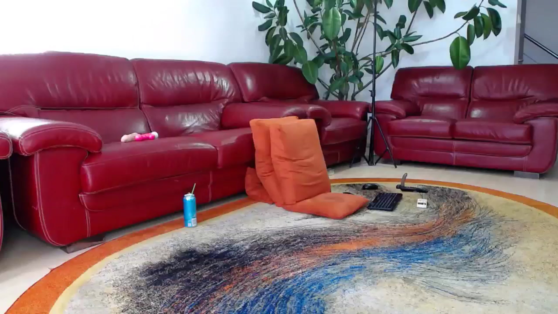 Gallery image thumbnail from Alicia_beggs's myfreecams stream on, 08/20/2023, 12:41 image 4 of 20