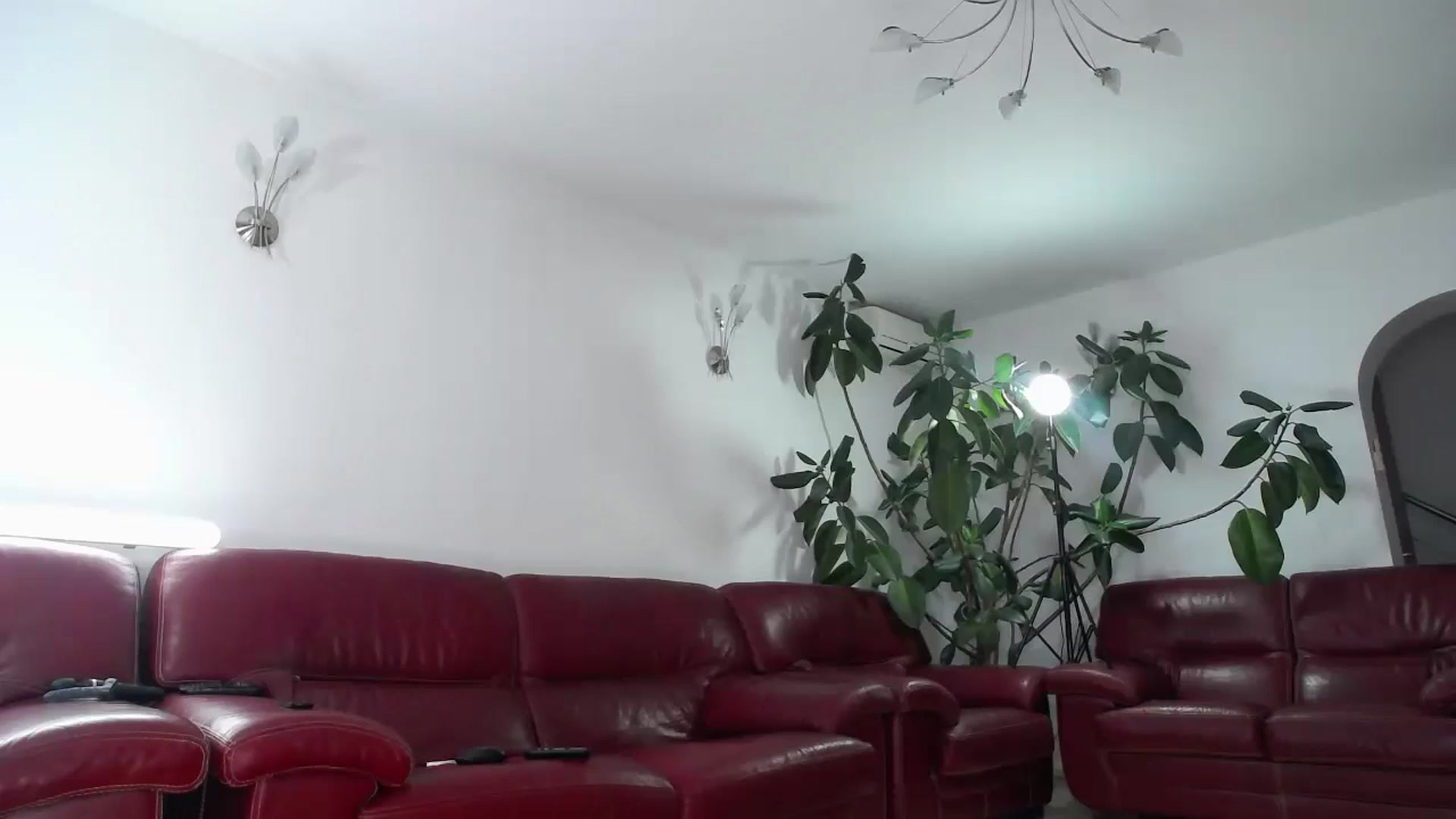 Gallery image thumbnail from Alicia_beggs's myfreecams stream on, 12/16/2023, 14:15 image 12 of 20
