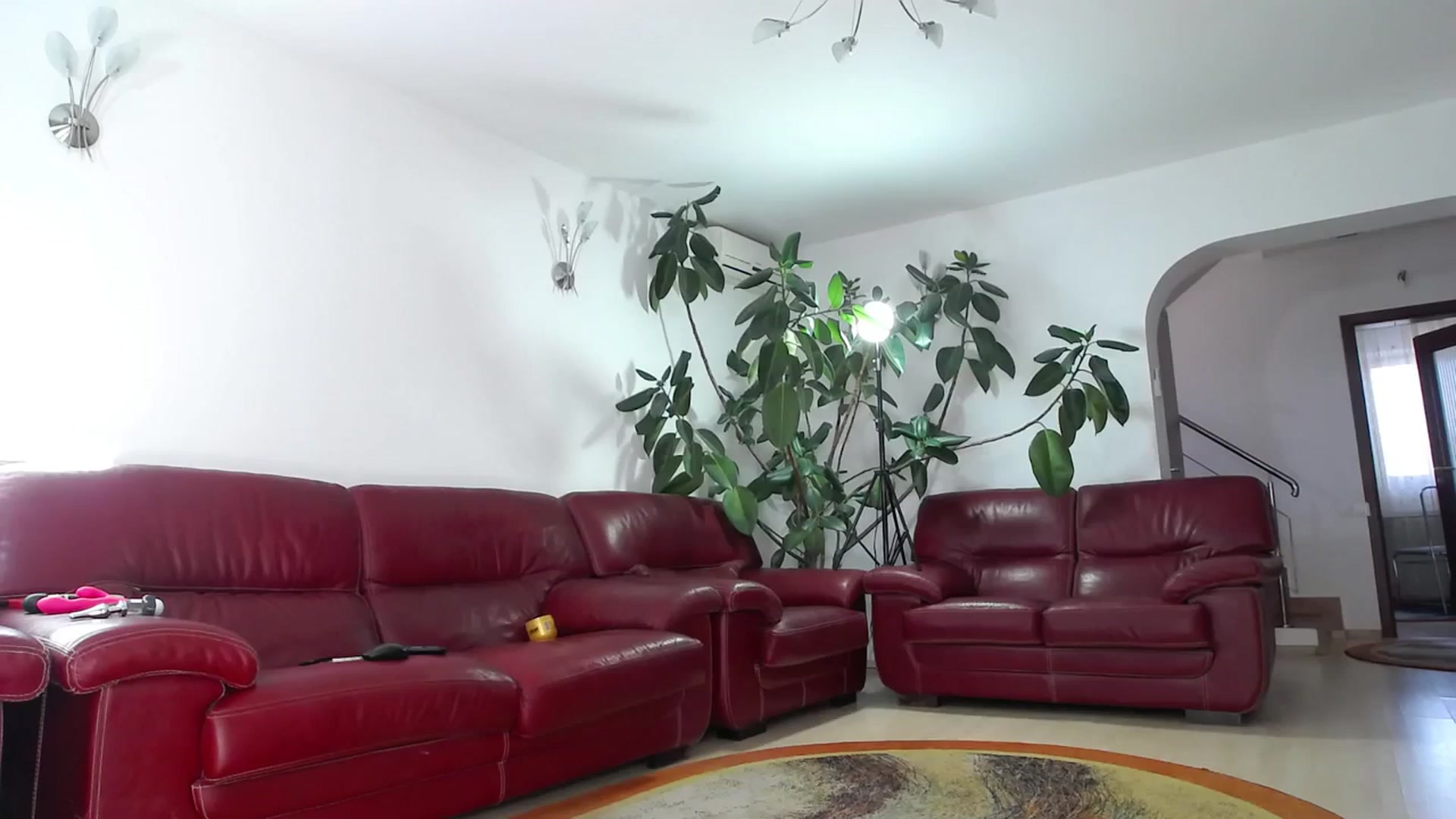Gallery image thumbnail from Alicia_beggs's myfreecams stream on, 01/22/2024, 10:31 image 15 of 20