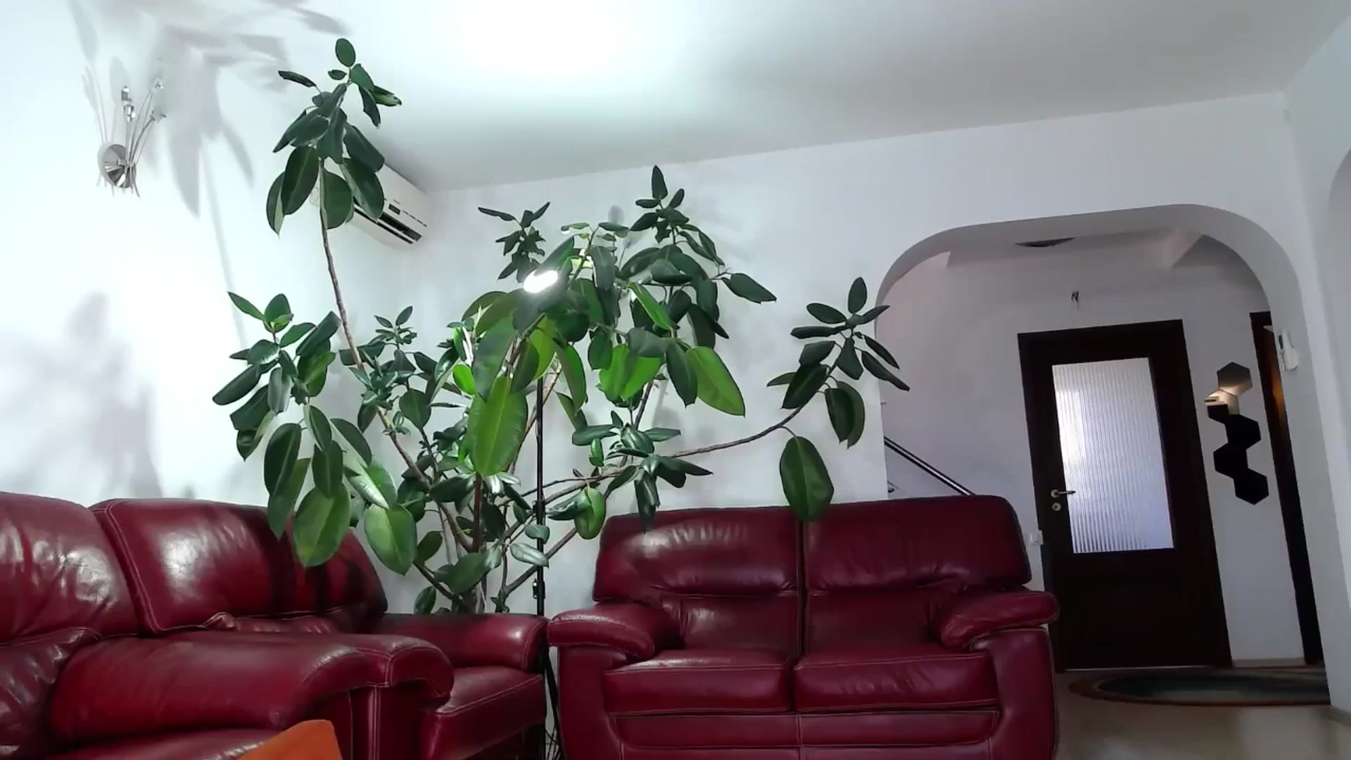Gallery image thumbnail from Alicia_beggs's myfreecams stream on, 08/11/2024, 10:10 image 8 of 20