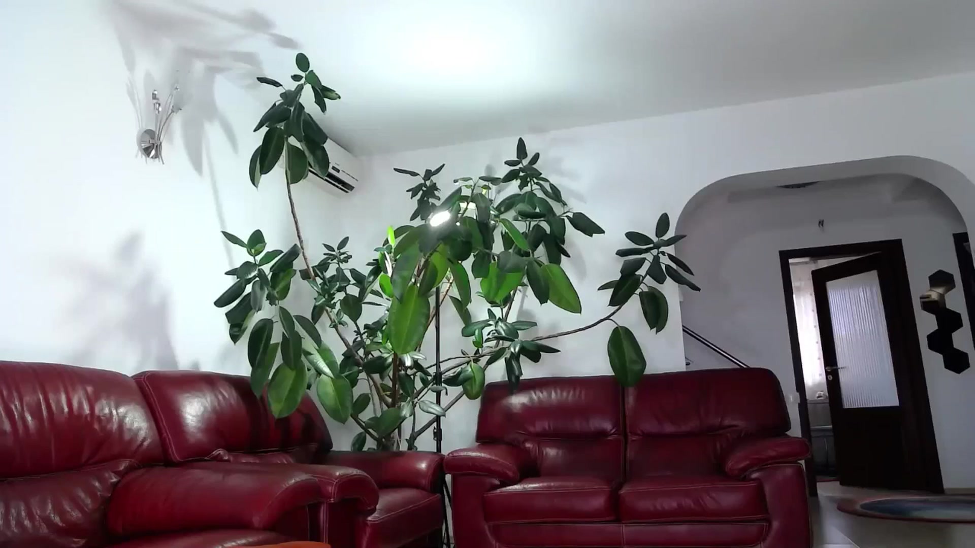 Gallery image thumbnail from Alicia_beggs's myfreecams stream on, 08/18/2024, 12:38 image 20 of 20