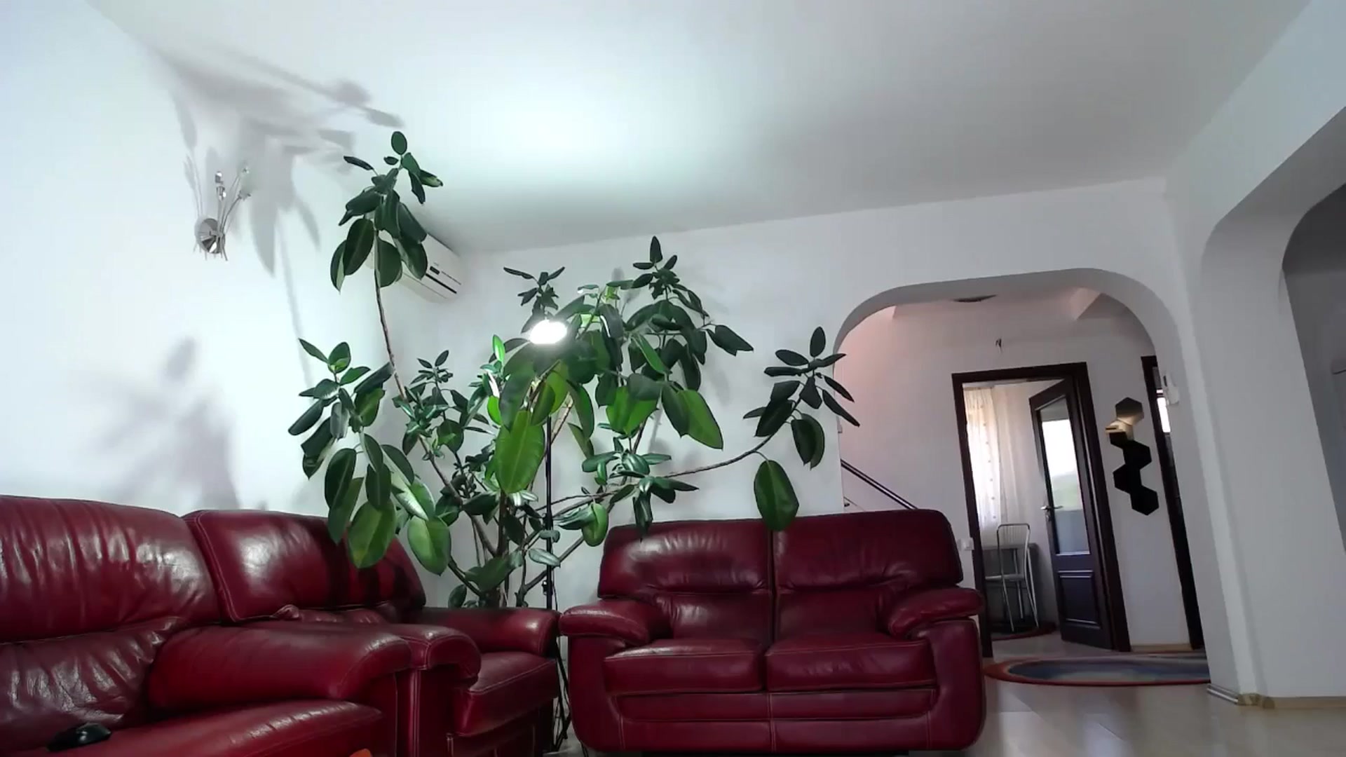 Gallery image thumbnail from Alicia_beggs's myfreecams stream on, 09/03/2024, 08:55 image 13 of 20