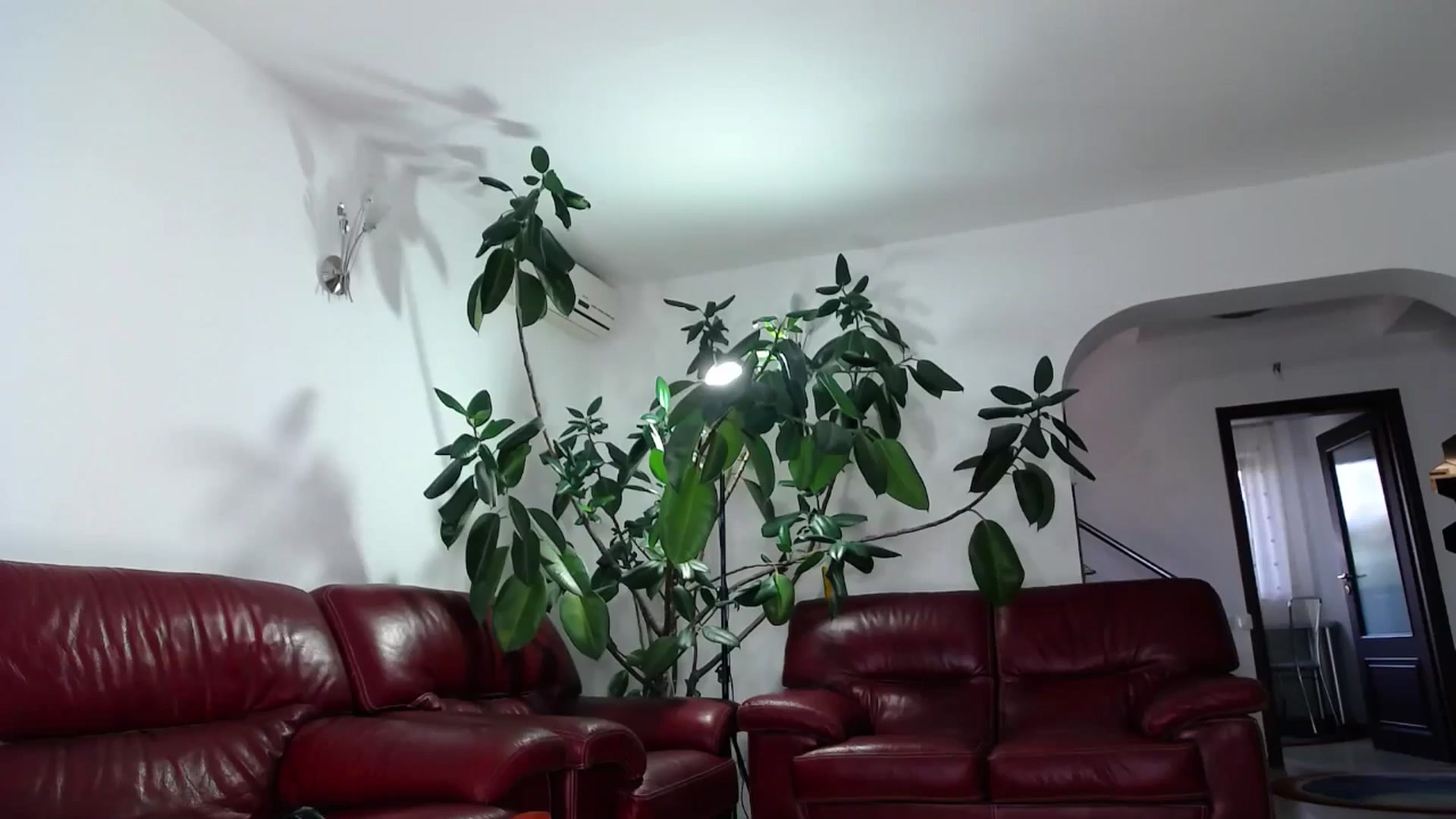 Gallery image thumbnail from Alicia_beggs's myfreecams stream on, 09/09/2024, 11:29 image 13 of 20