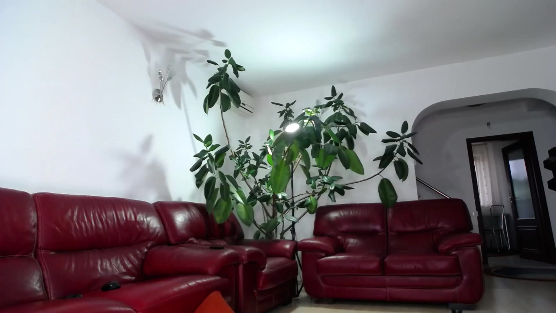 Gallery image thumbnail from Alicia_beggs's myfreecams stream on, 09/11/2024, 12:03 image 11 of 20