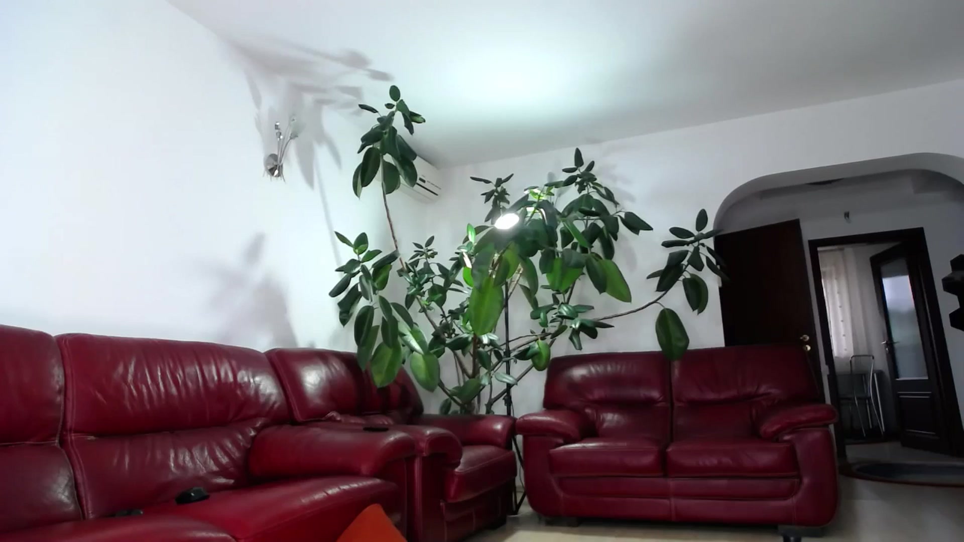 Gallery image thumbnail from Alicia_beggs's myfreecams stream on, 09/11/2024, 12:03 image 12 of 20